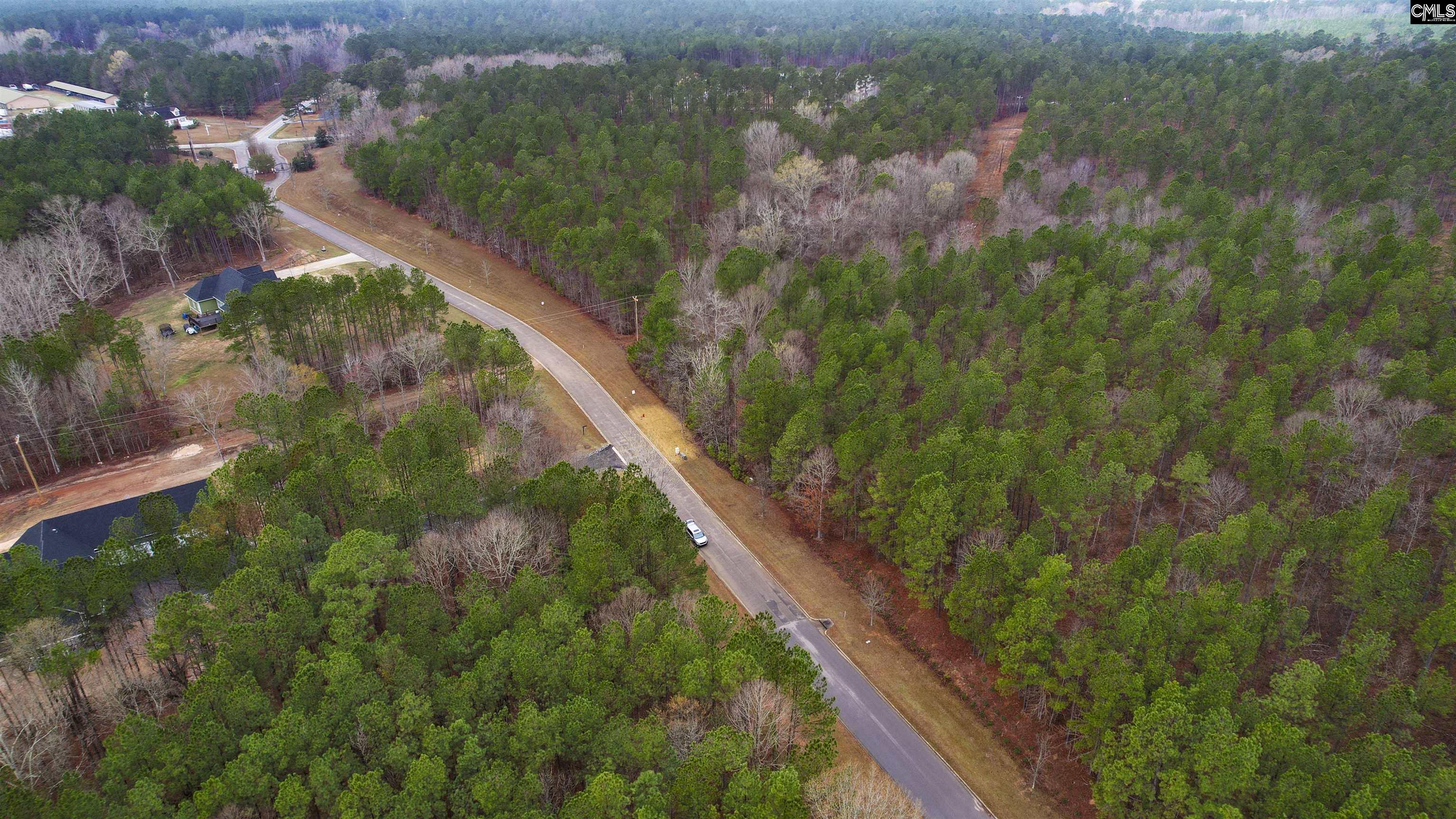 Lot 4 Retreat Way UNIT Lot 4 Ridgeway, SC 29130