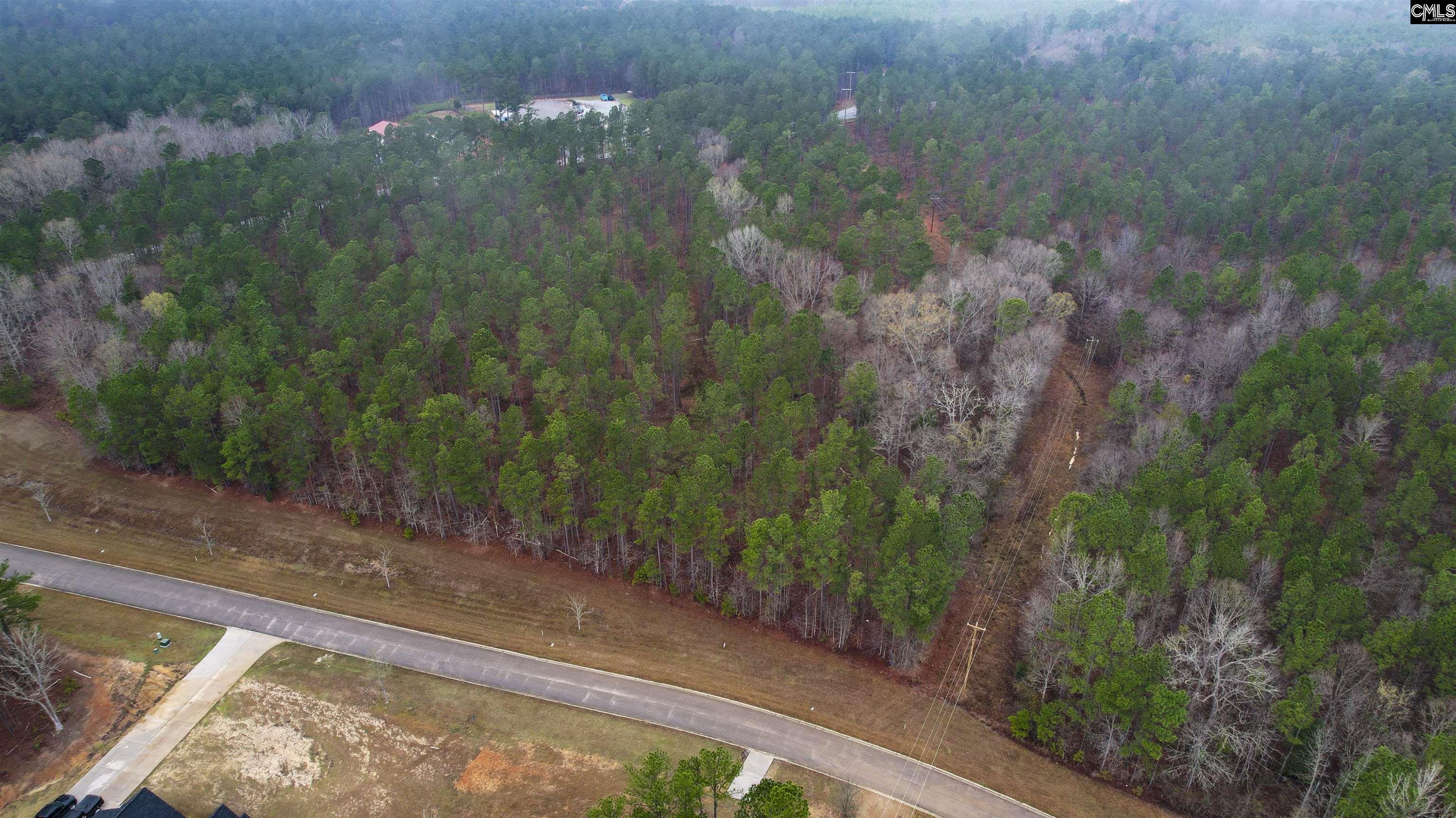 Lot 5 Retreat Way UNIT Lot 5 Ridgeway, SC 29130