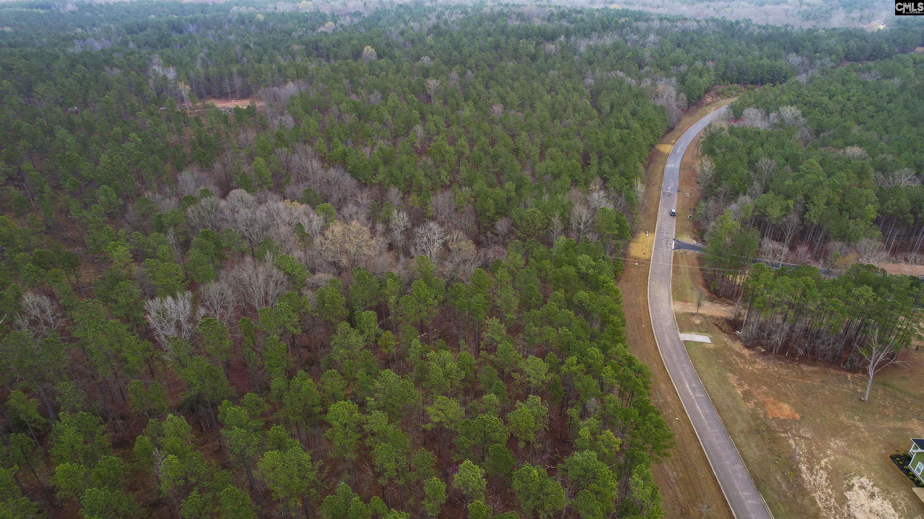 Lot 5 Retreat Way UNIT Lot 5 Ridgeway, SC 29130