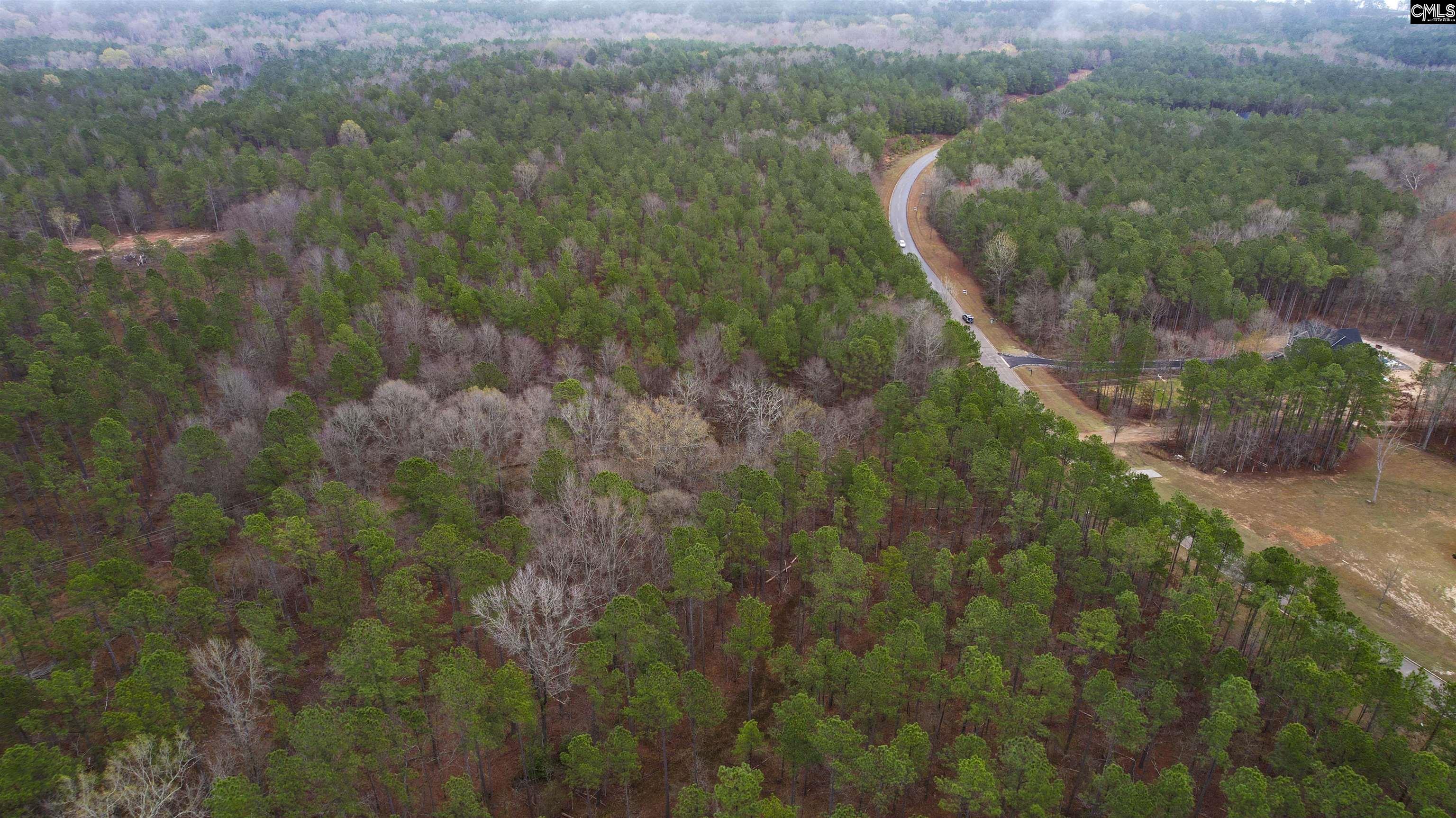 Lot 5 Retreat Way UNIT Lot 5 Ridgeway, SC 29130