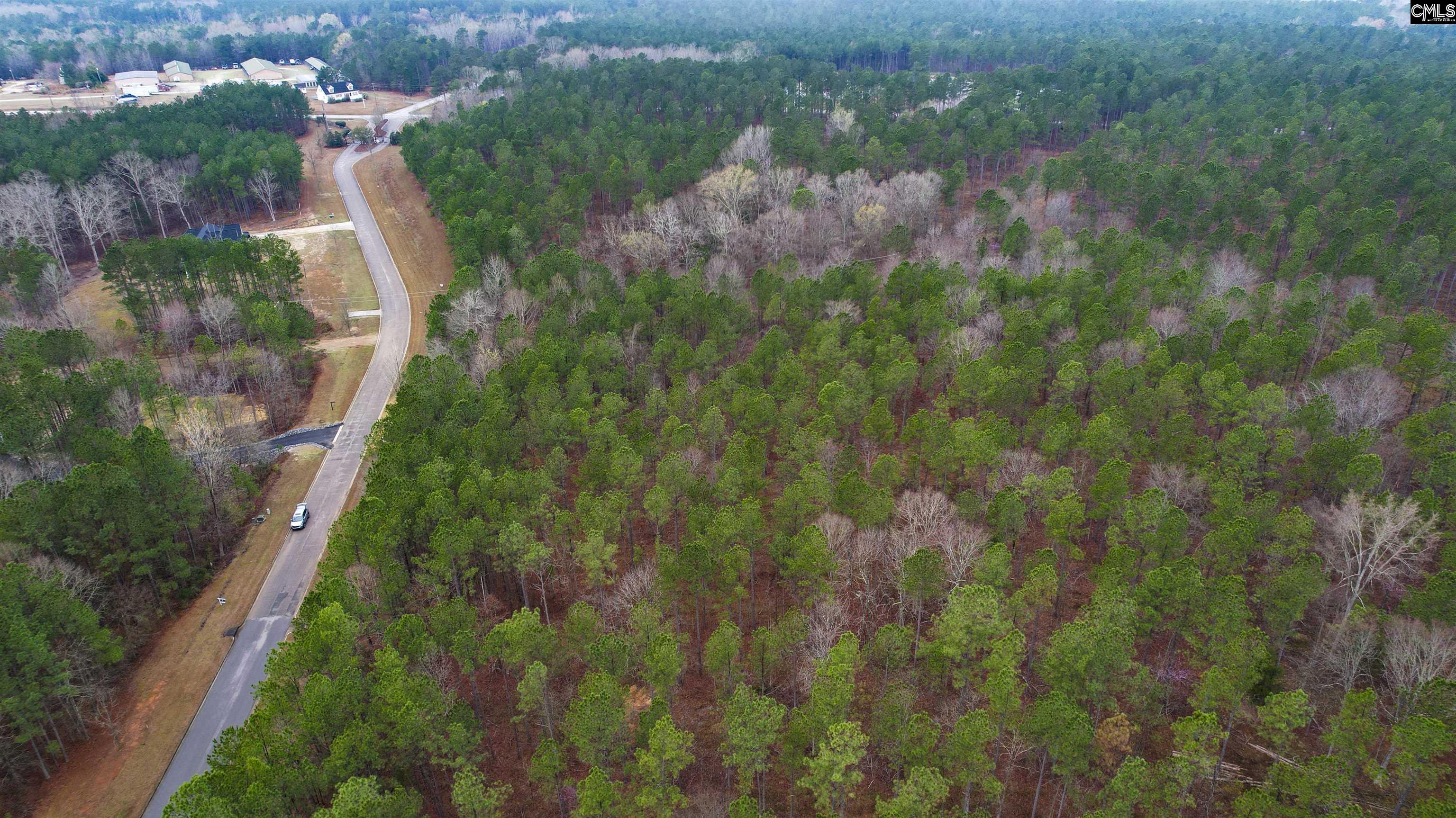 Lot 5 Retreat Way UNIT Lot 5 Ridgeway, SC 29130