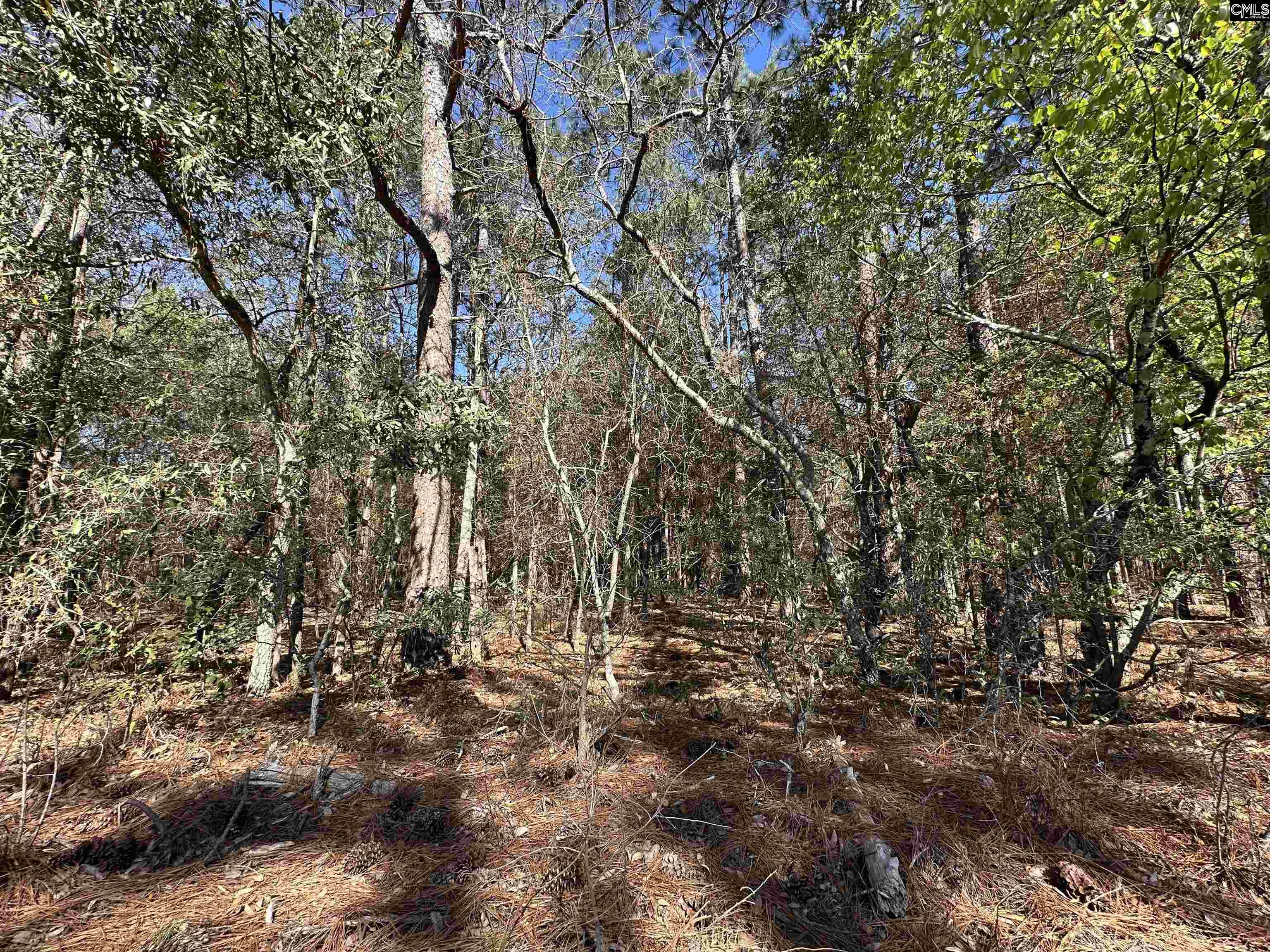 Lot 2 Mimosa Drive