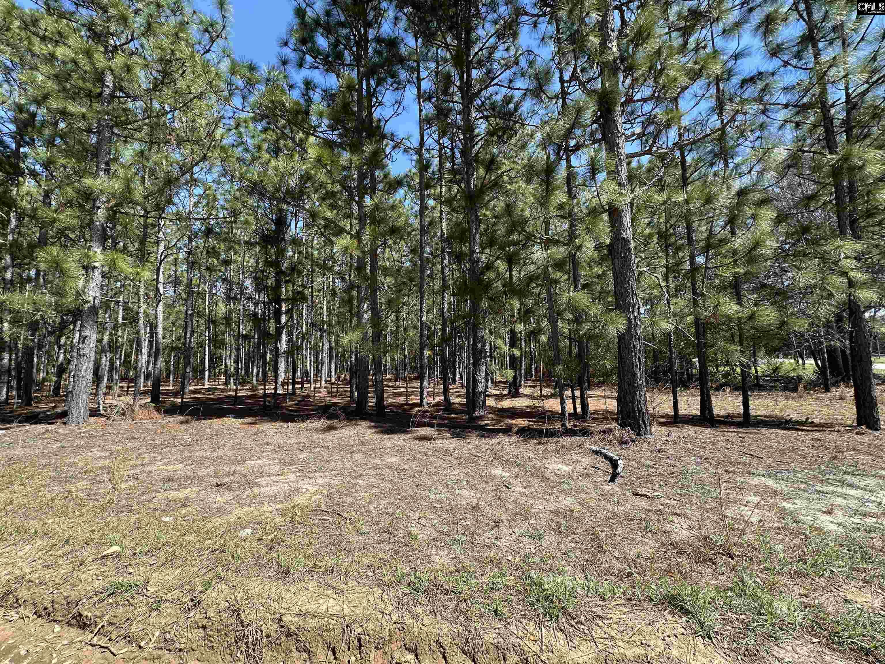 223 Mimosa Drive UNIT 1,2,5 Gaston, SC 29053