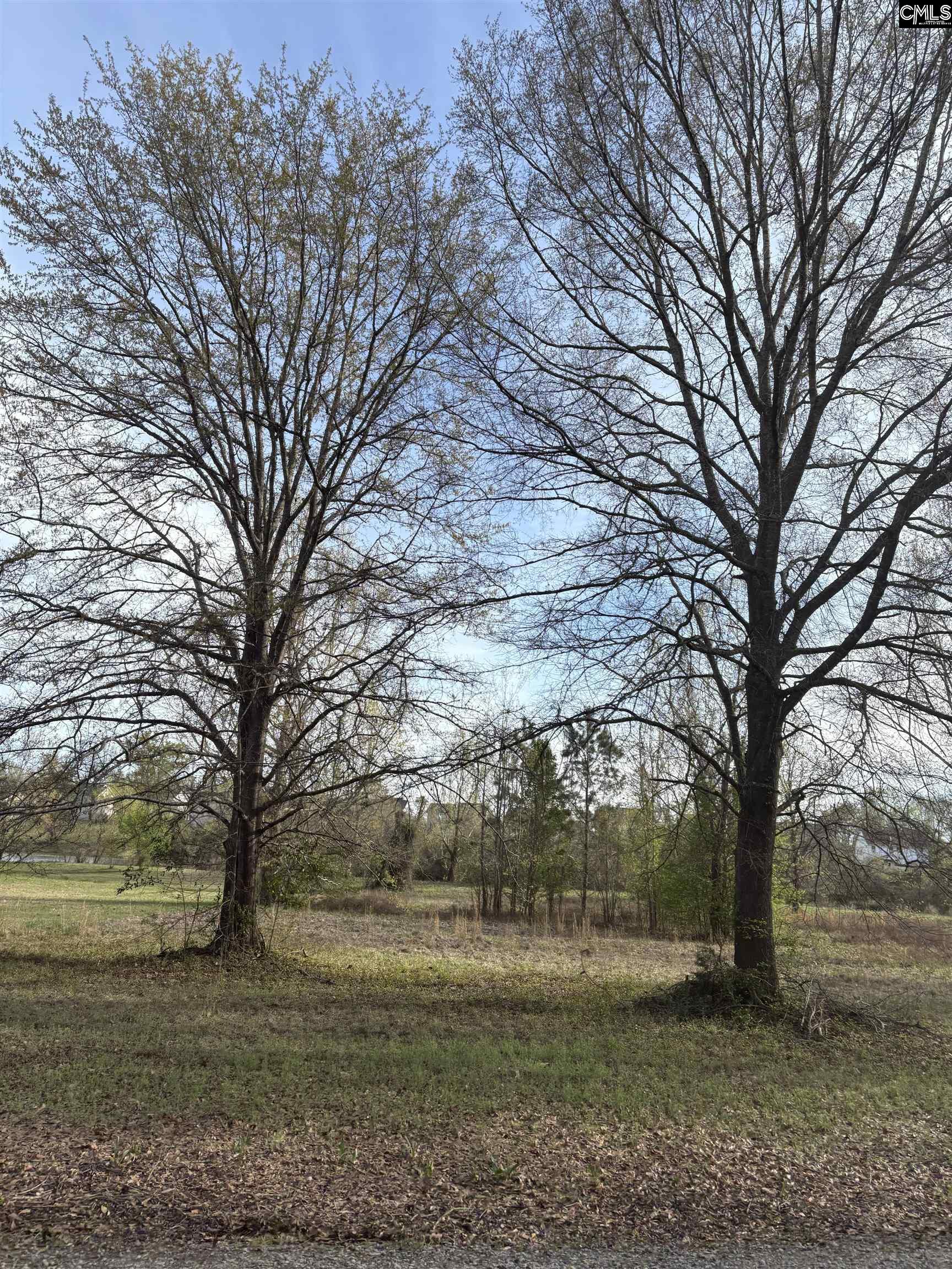 194 Wild Turkey Lane UNIT #3 Camden, SC 29020