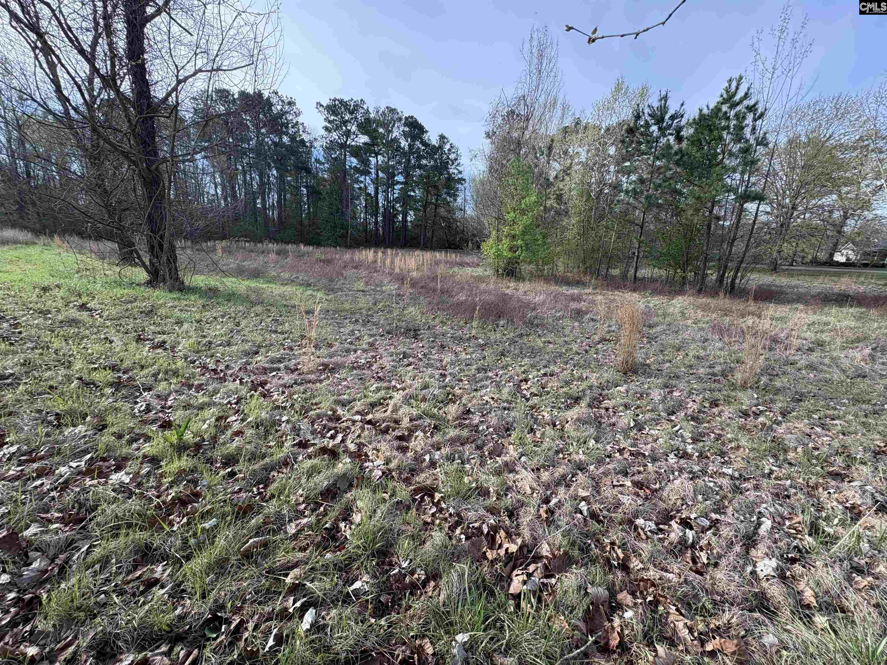 194 Wild Turkey Lane UNIT #3 Camden, SC 29020