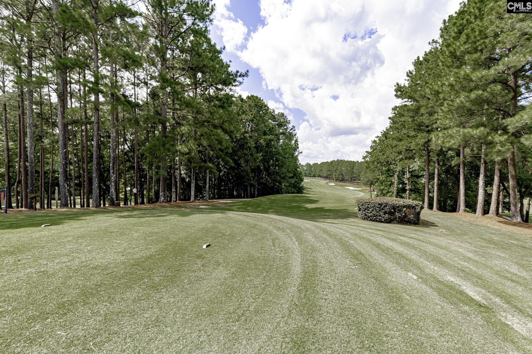1220 Coogler Crossing Drive Blythewood, SC 29016