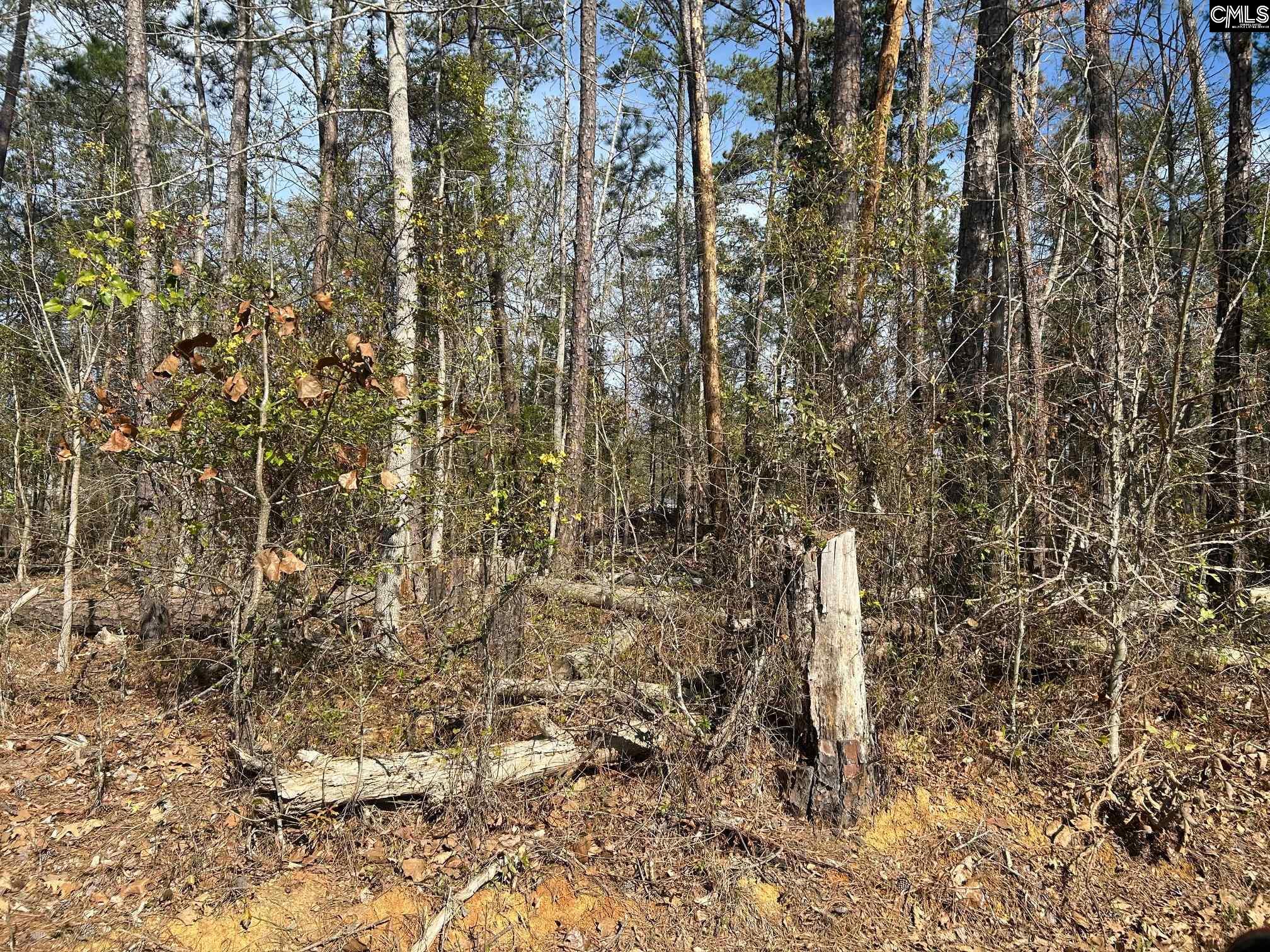 Holley Ferry Road Leesville, SC 29070-0000