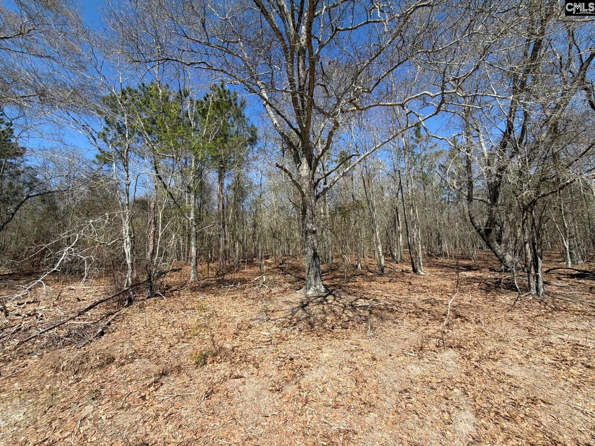 BHL 9 Boise Cascade Road Bethune, SC 29009