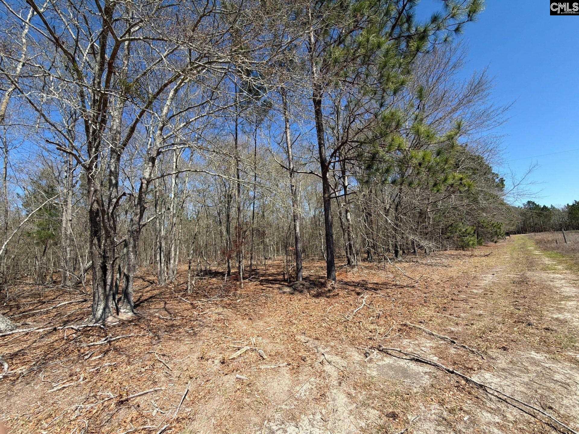 BHL 9 Boise Cascade Road Bethune, SC 29009