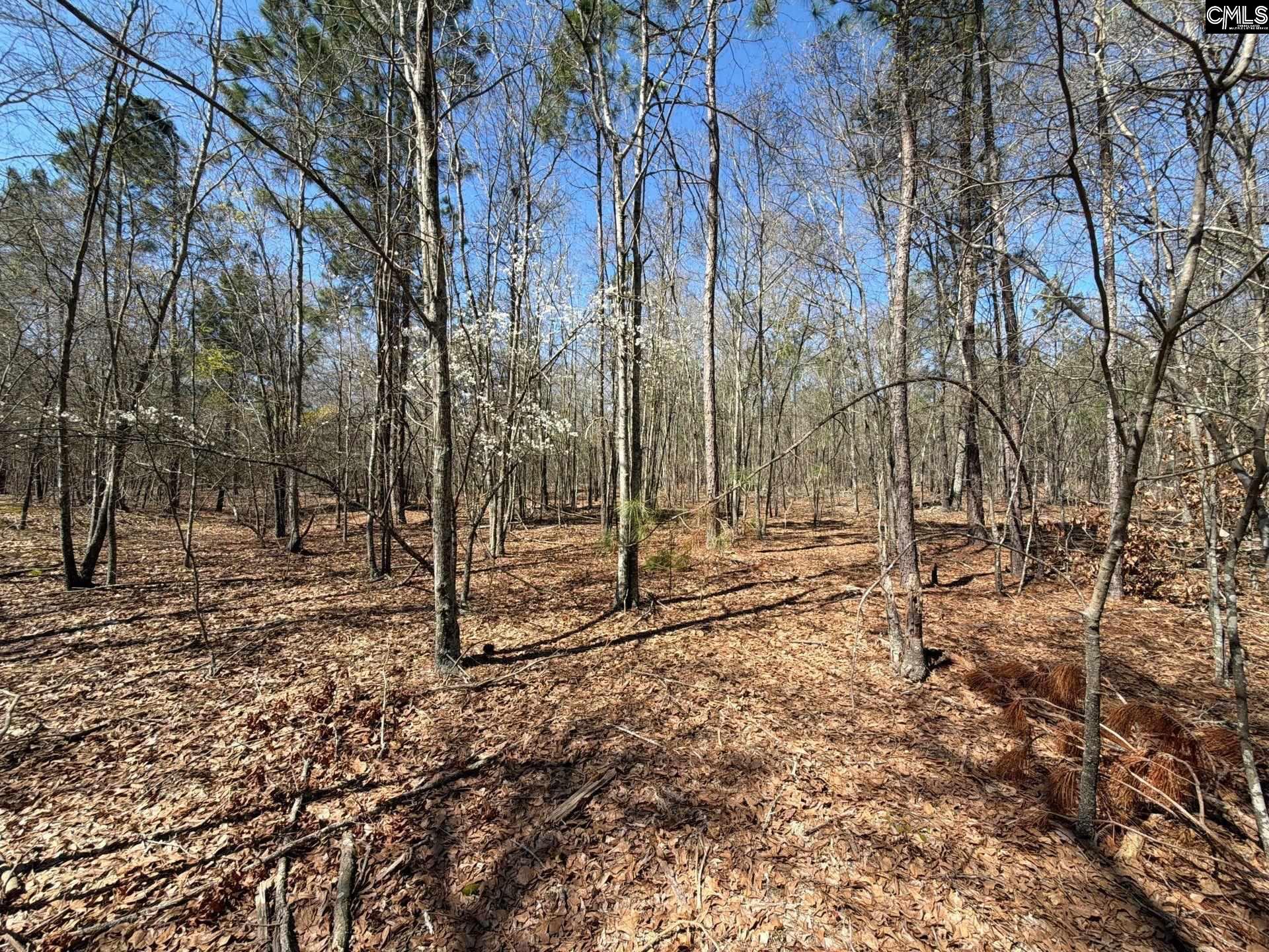 BHL 9 Boise Cascade Road Bethune, SC 29009
