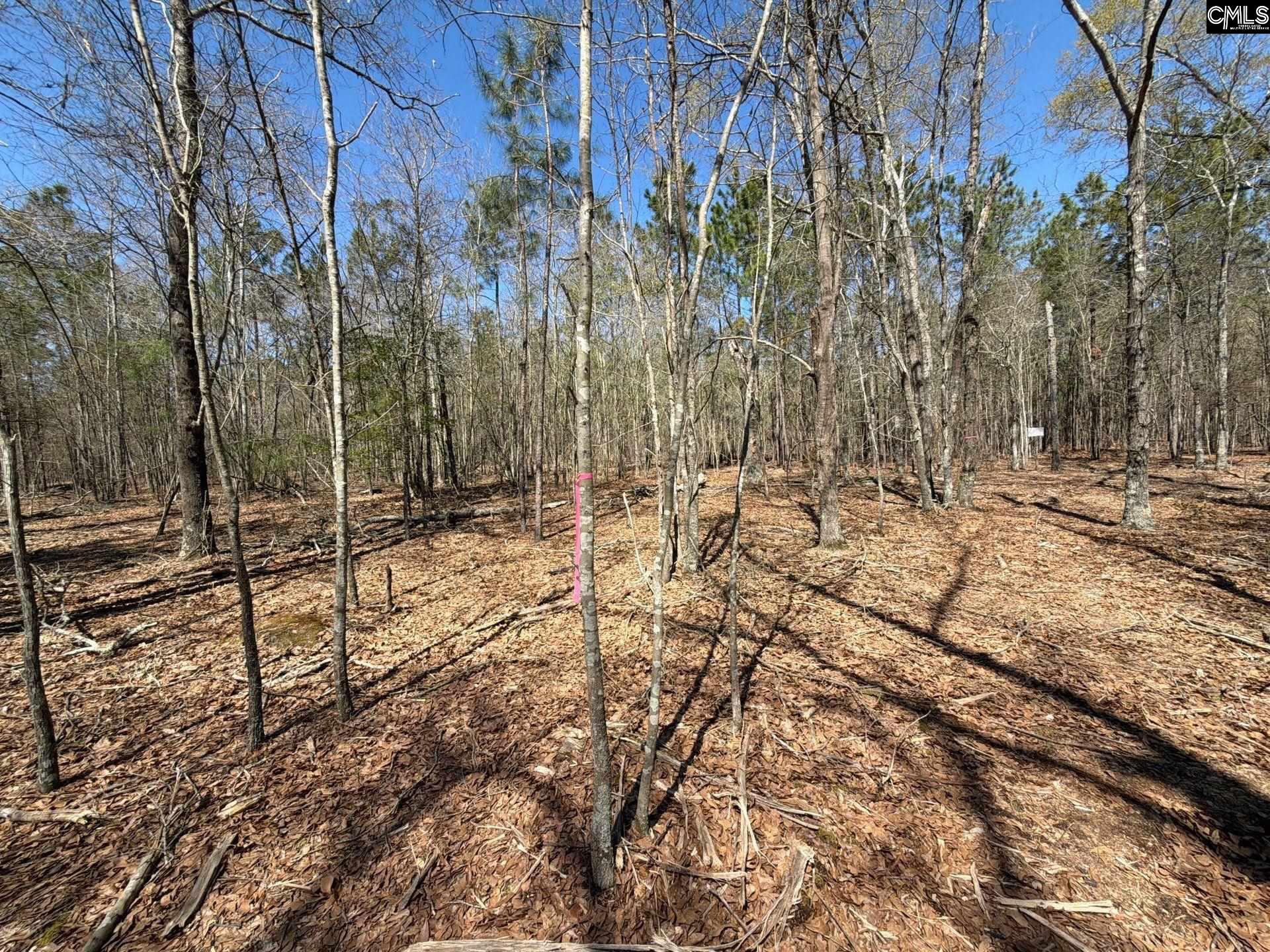 BHL 9 Boise Cascade Road Bethune, SC 29009