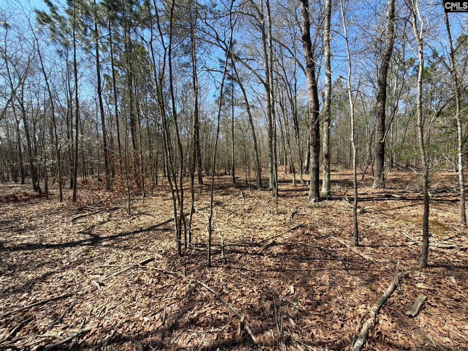 BHL 9 Boise Cascade Road Bethune, SC 29009