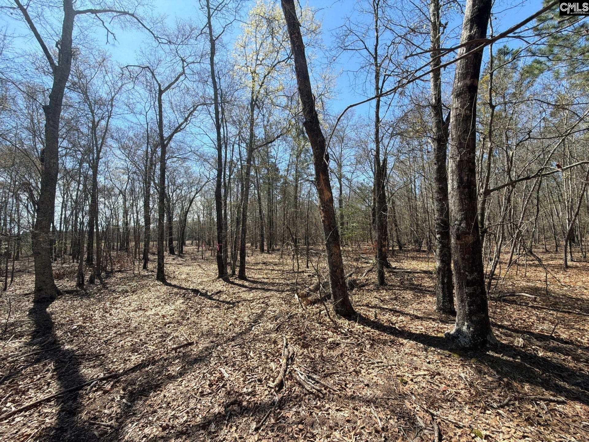 BHL 9 Boise Cascade Road Bethune, SC 29009