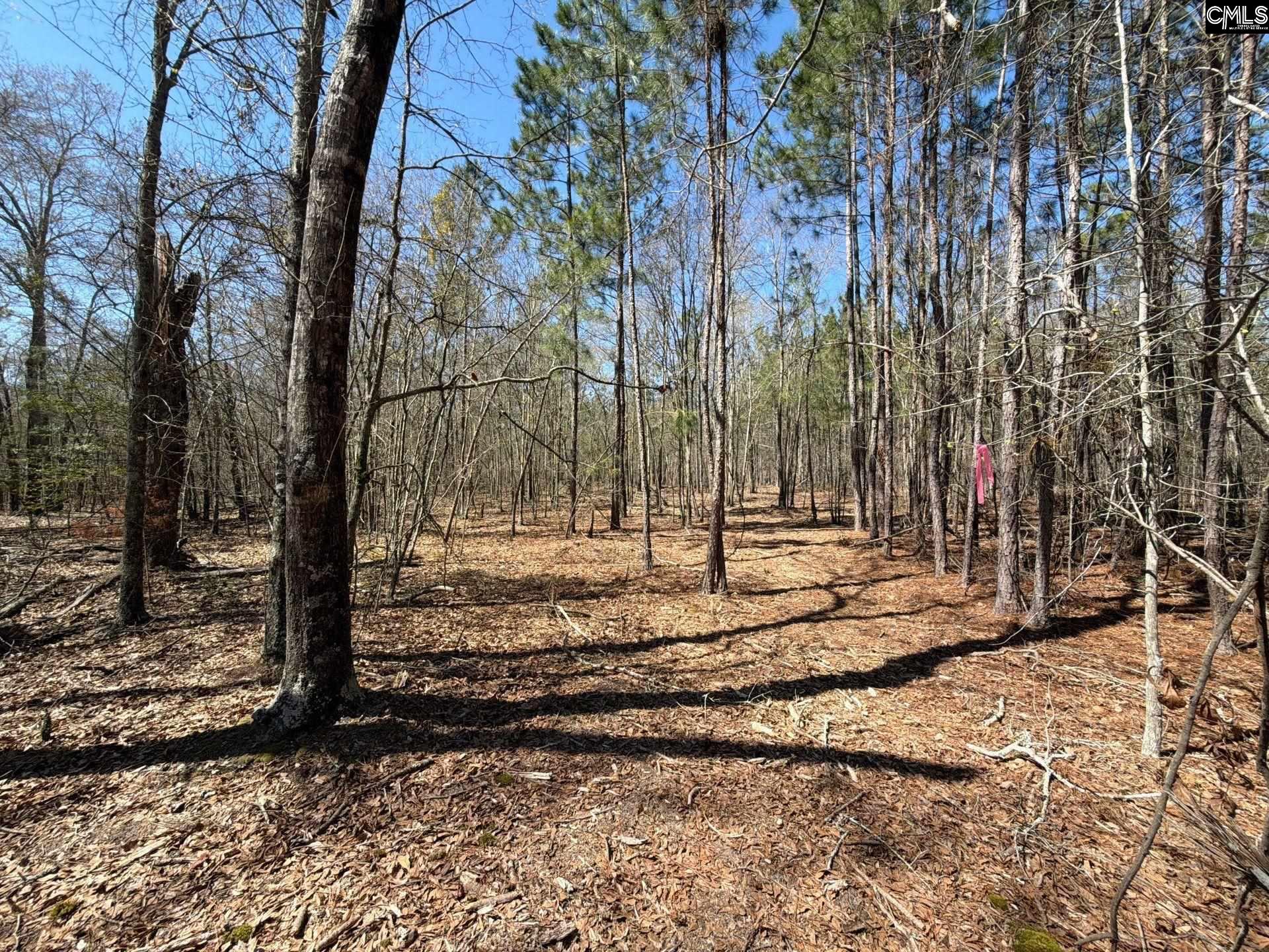 BHL 9 Boise Cascade Road Bethune, SC 29009