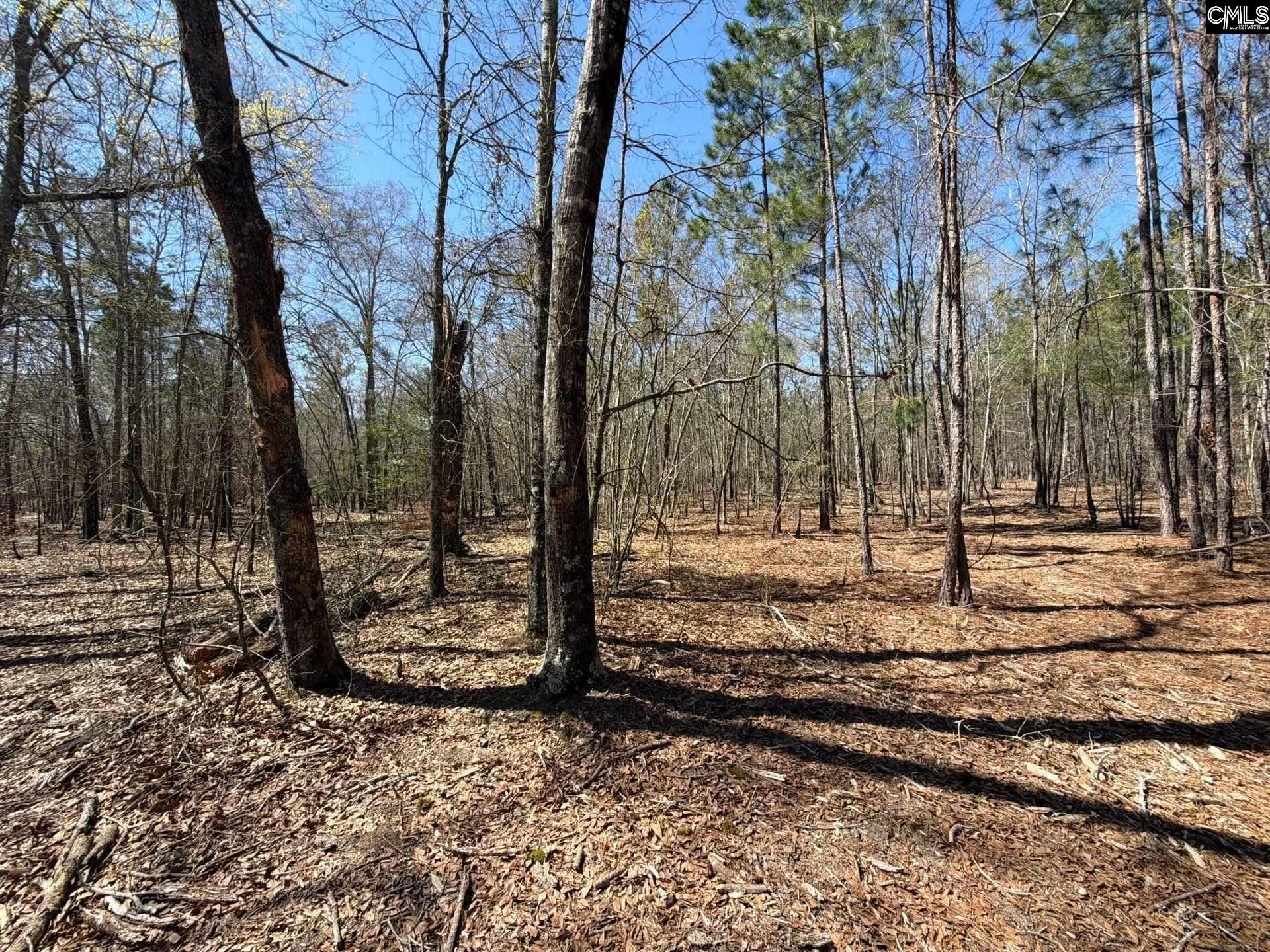 BHL 9 Boise Cascade Road Bethune, SC 29009
