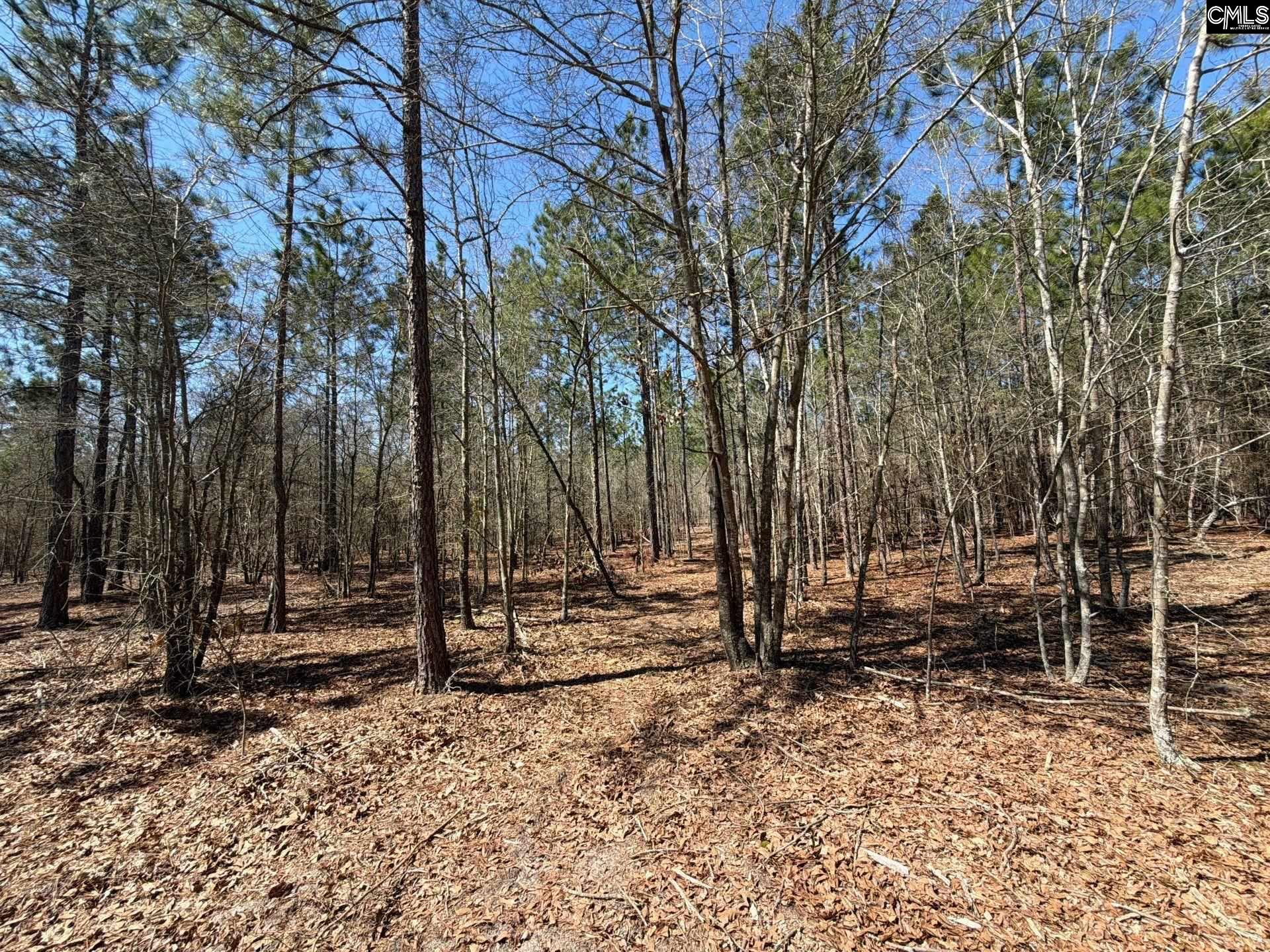 BHL 9 Boise Cascade Road Bethune, SC 29009