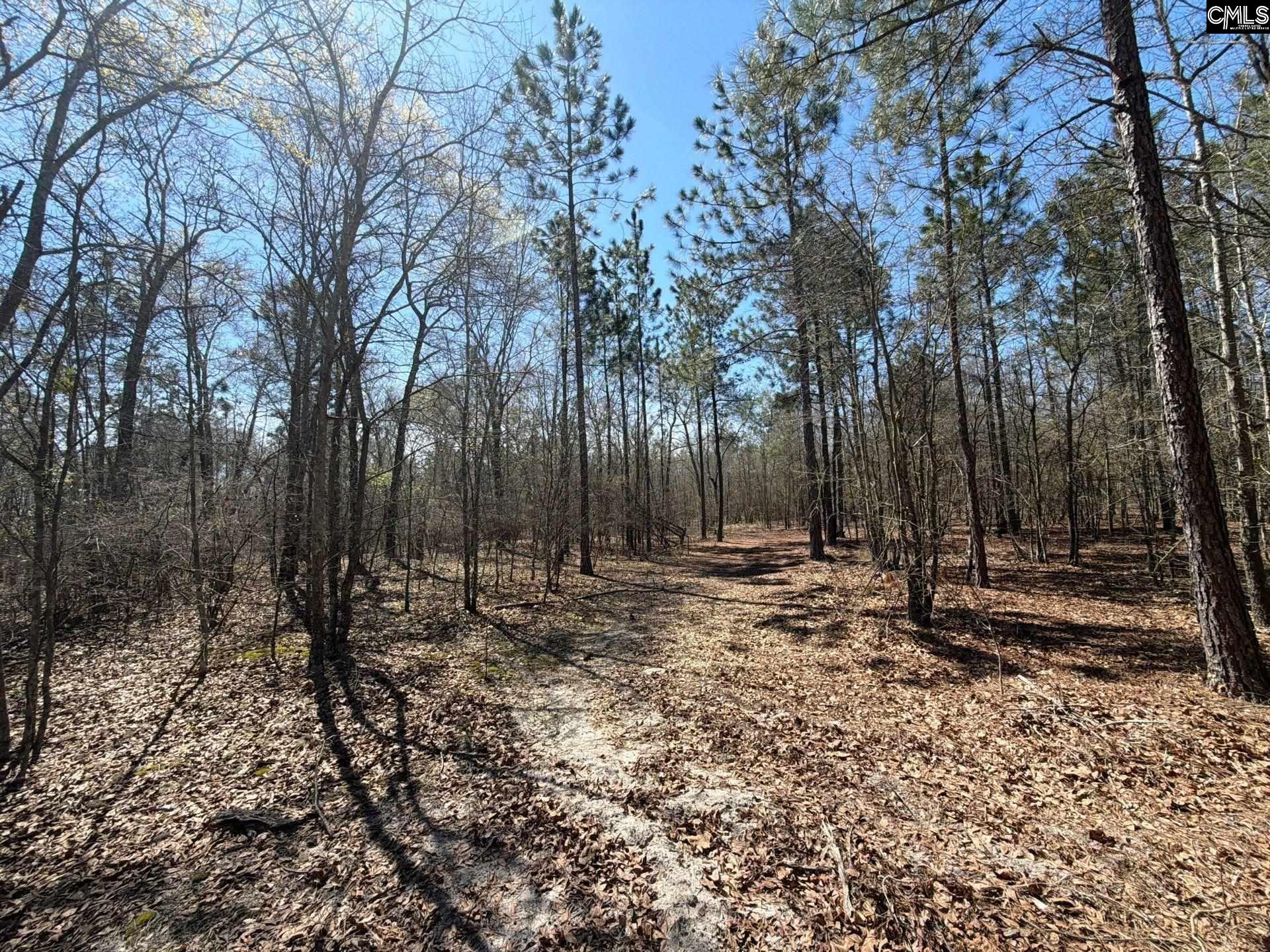 BHL 9 Boise Cascade Road Bethune, SC 29009