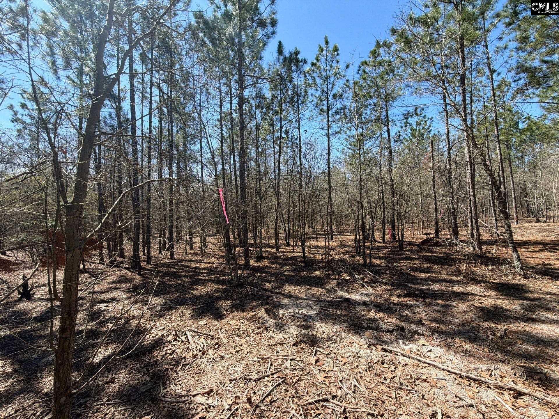 BHL 9 Boise Cascade Road Bethune, SC 29009