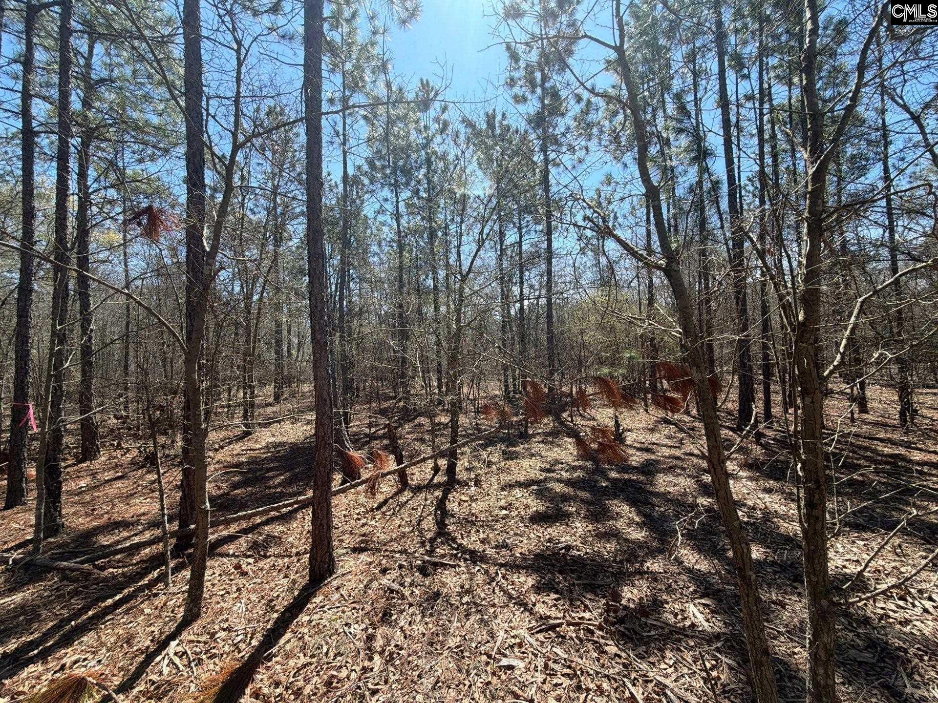 BHL 9 Boise Cascade Road Bethune, SC 29009