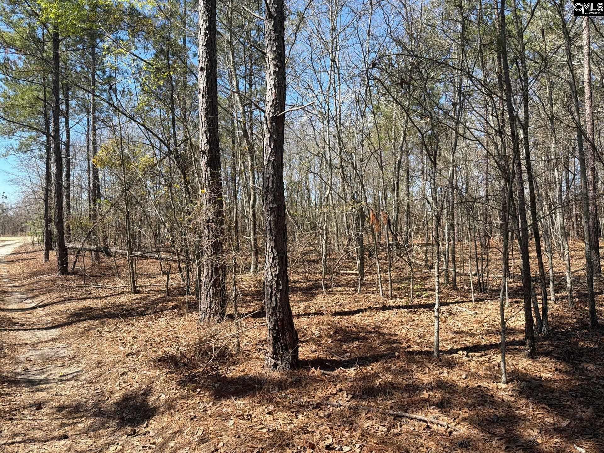 BHL 9 Boise Cascade Road Bethune, SC 29009