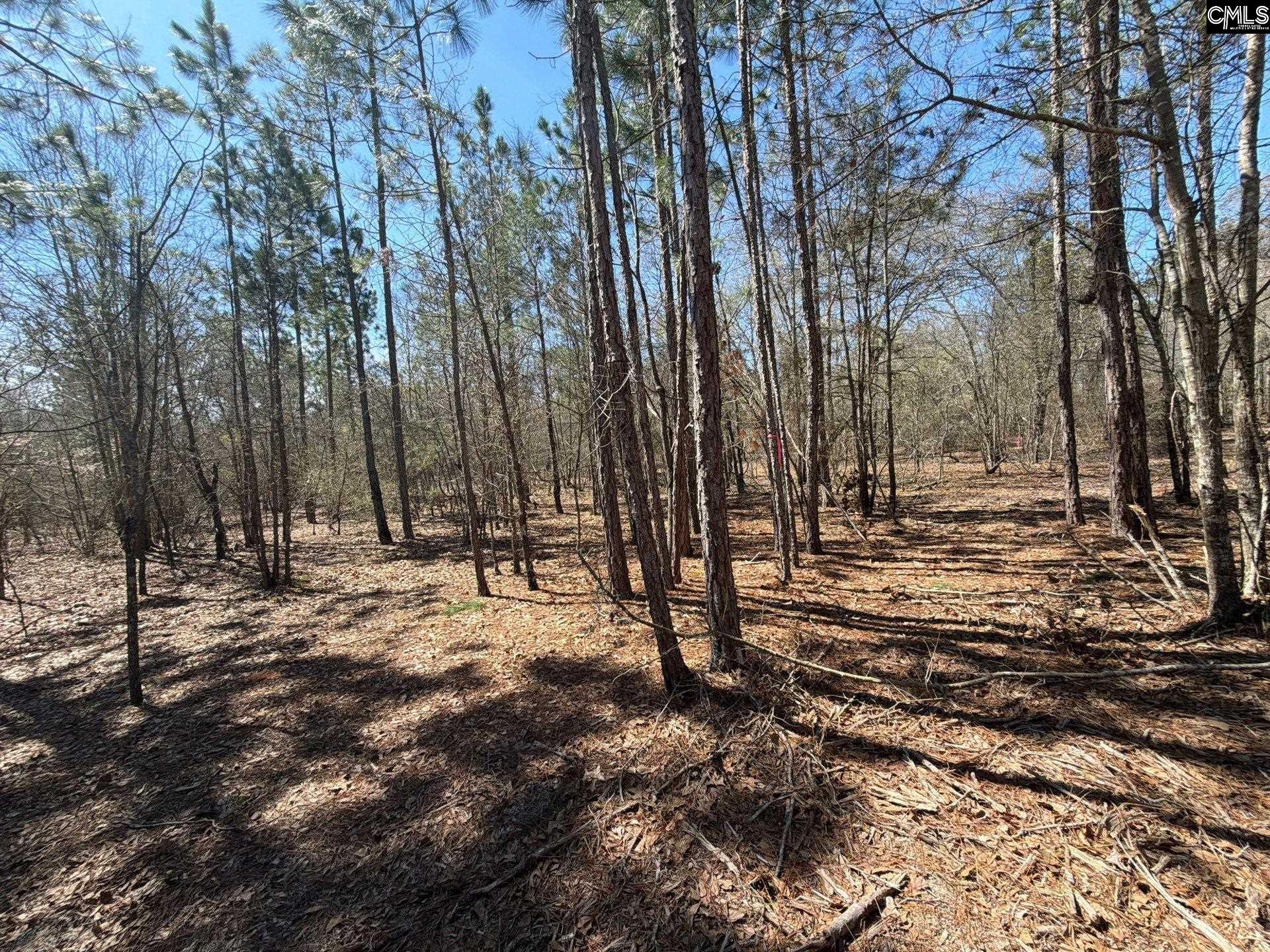 BHL 9 Boise Cascade Road Bethune, SC 29009