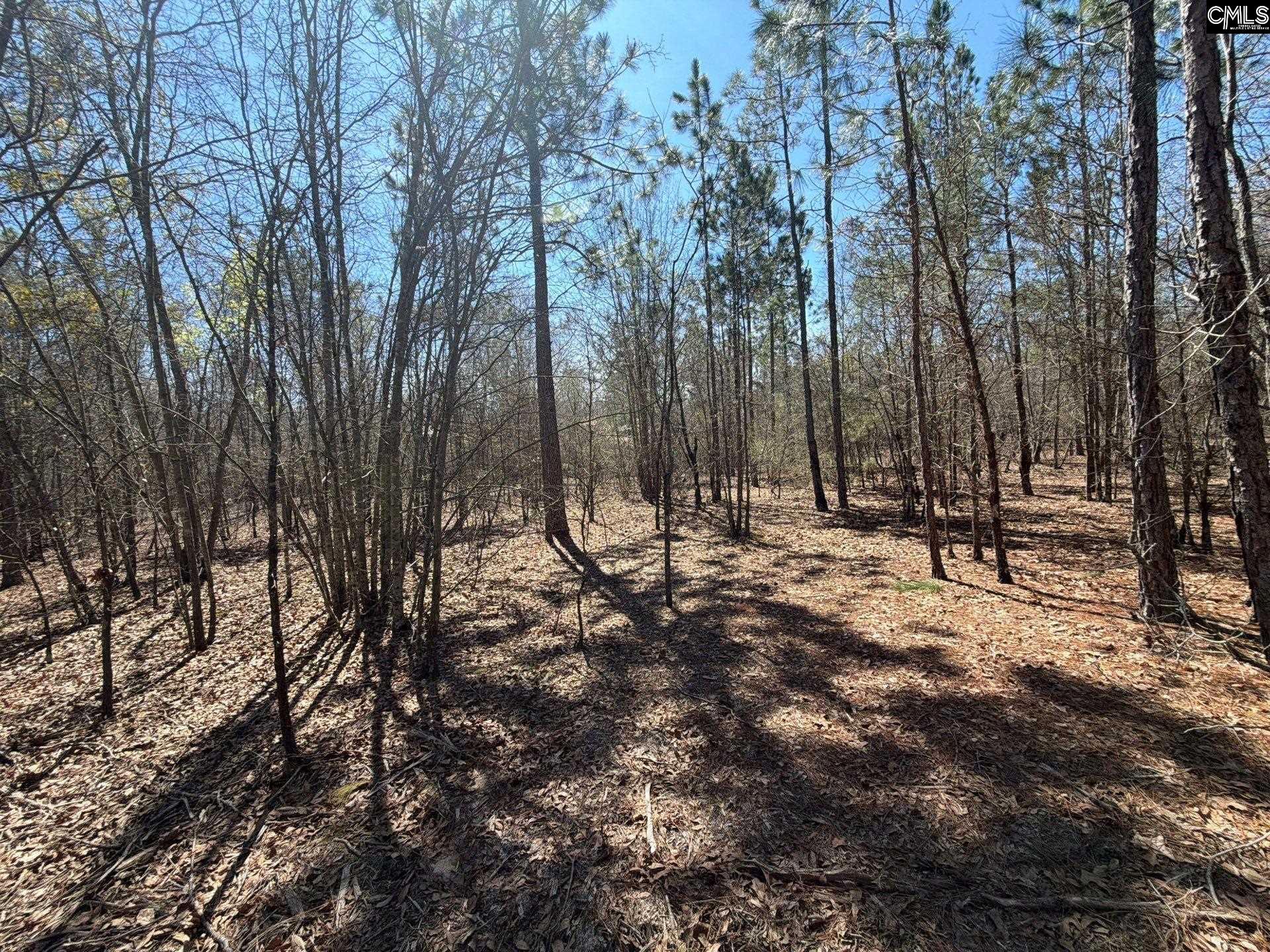 BHL 9 Boise Cascade Road Bethune, SC 29009
