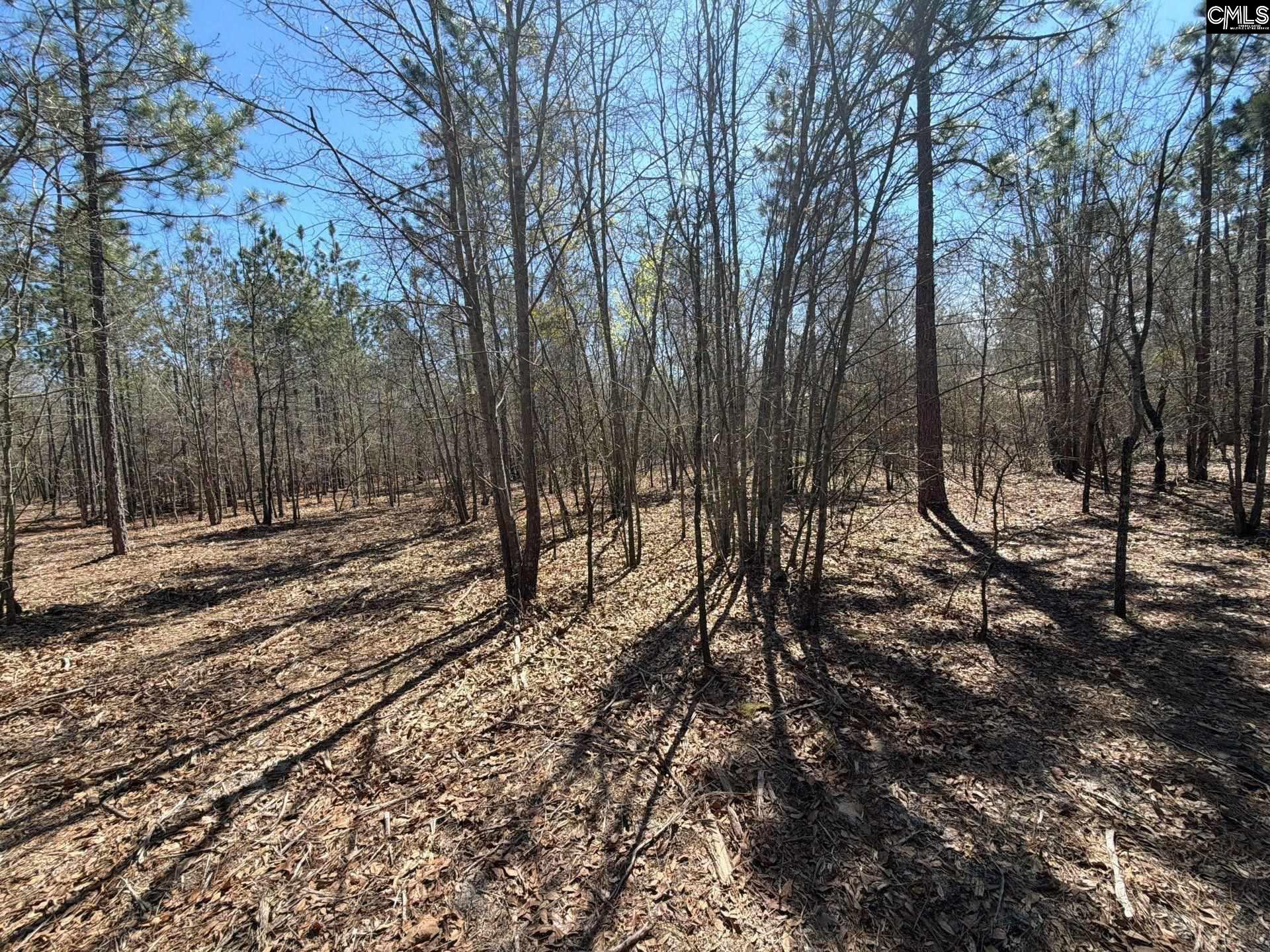 BHL 9 Boise Cascade Road Bethune, SC 29009