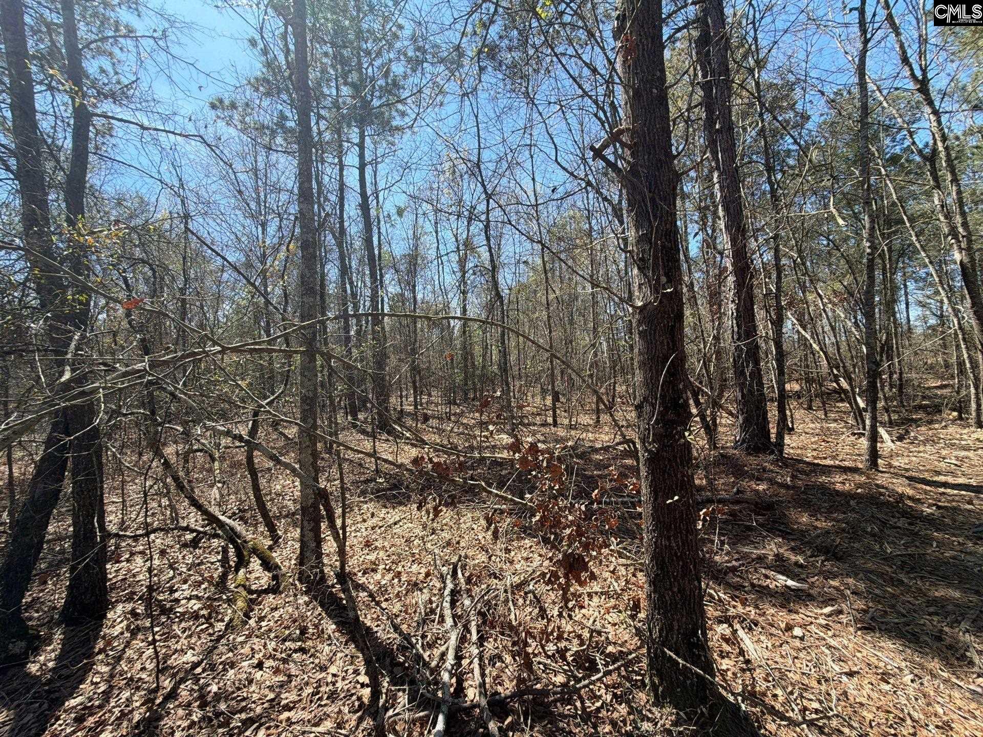 BHL 9 Boise Cascade Road Bethune, SC 29009