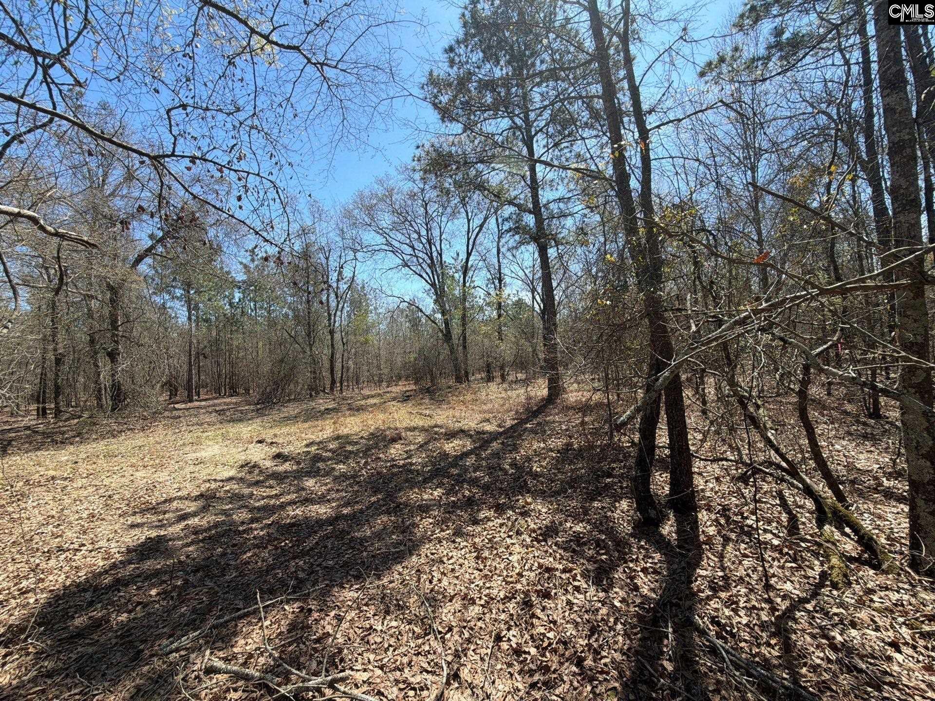 BHL 9 Boise Cascade Road Bethune, SC 29009