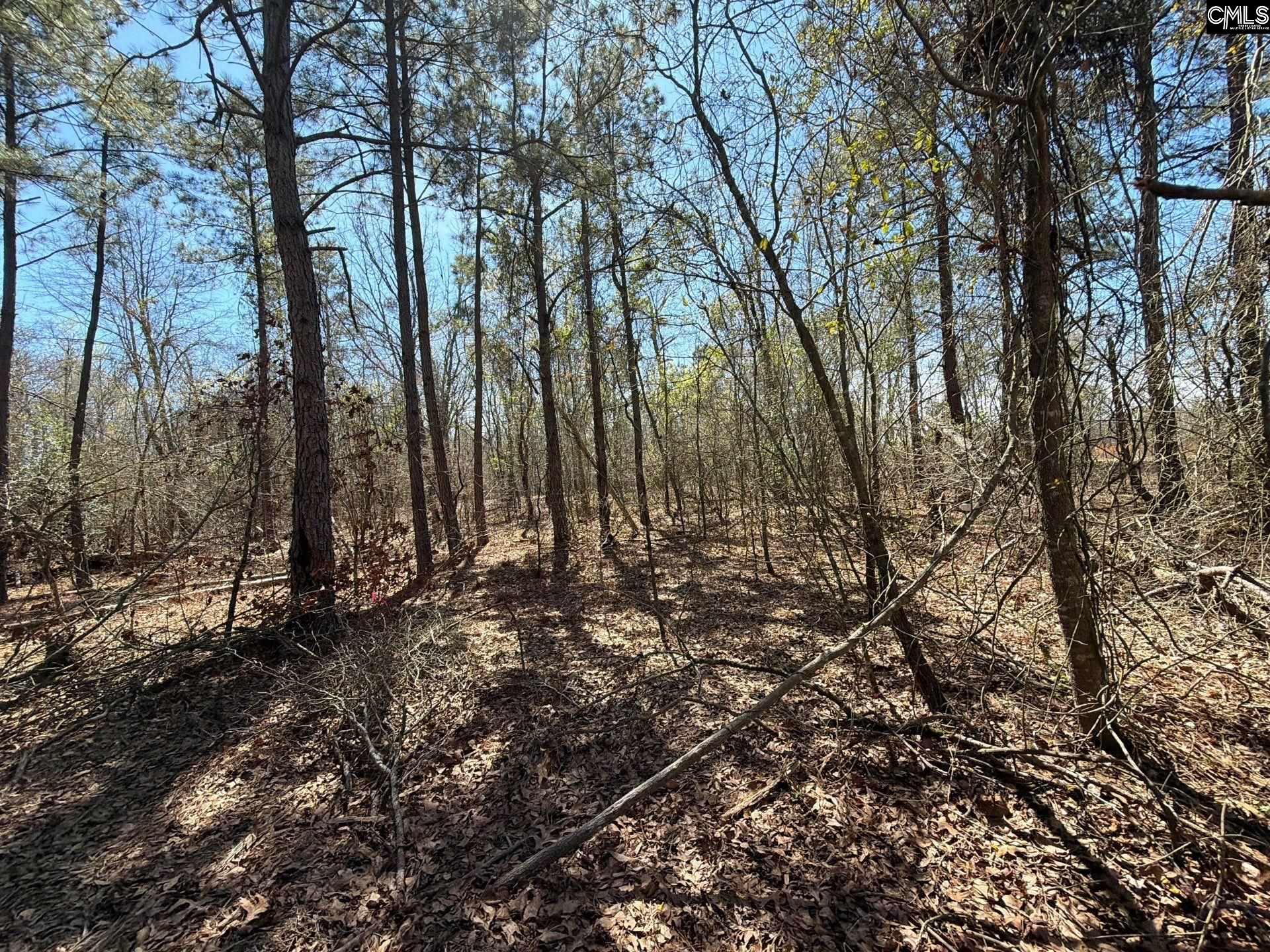 BHL 9 Boise Cascade Road Bethune, SC 29009
