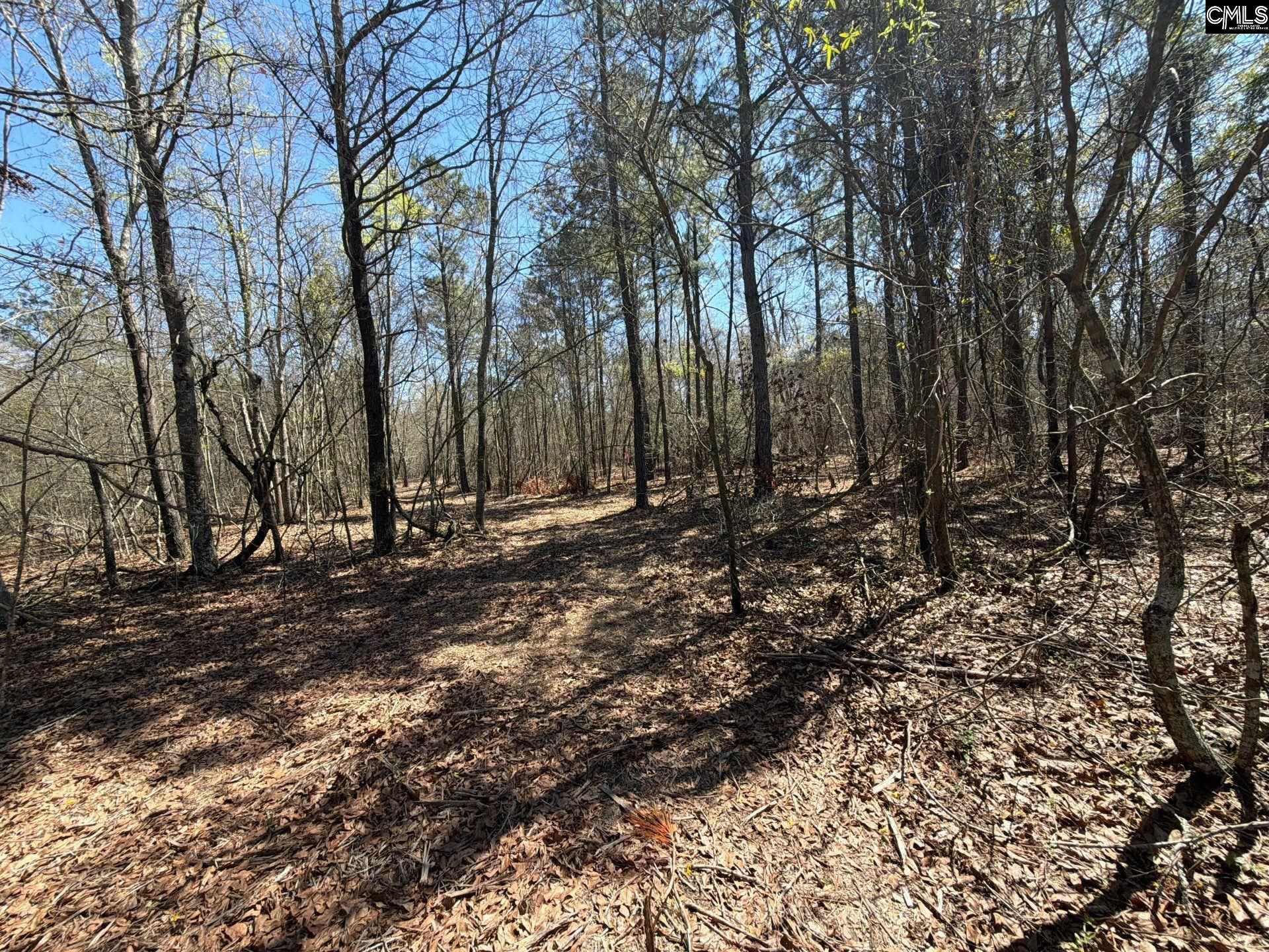 BHL 9 Boise Cascade Road Bethune, SC 29009