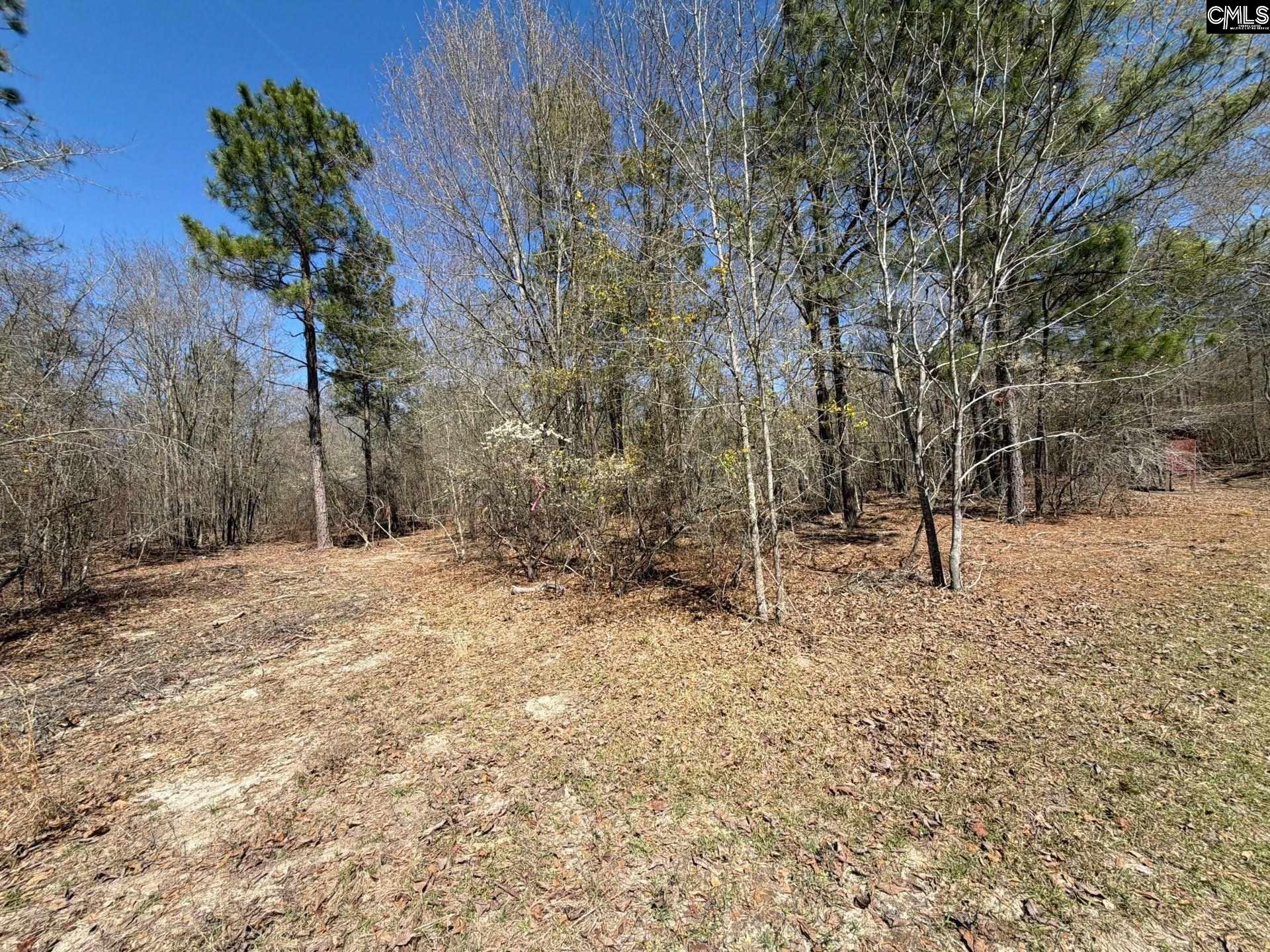 BHL 9 Boise Cascade Road Bethune, SC 29009