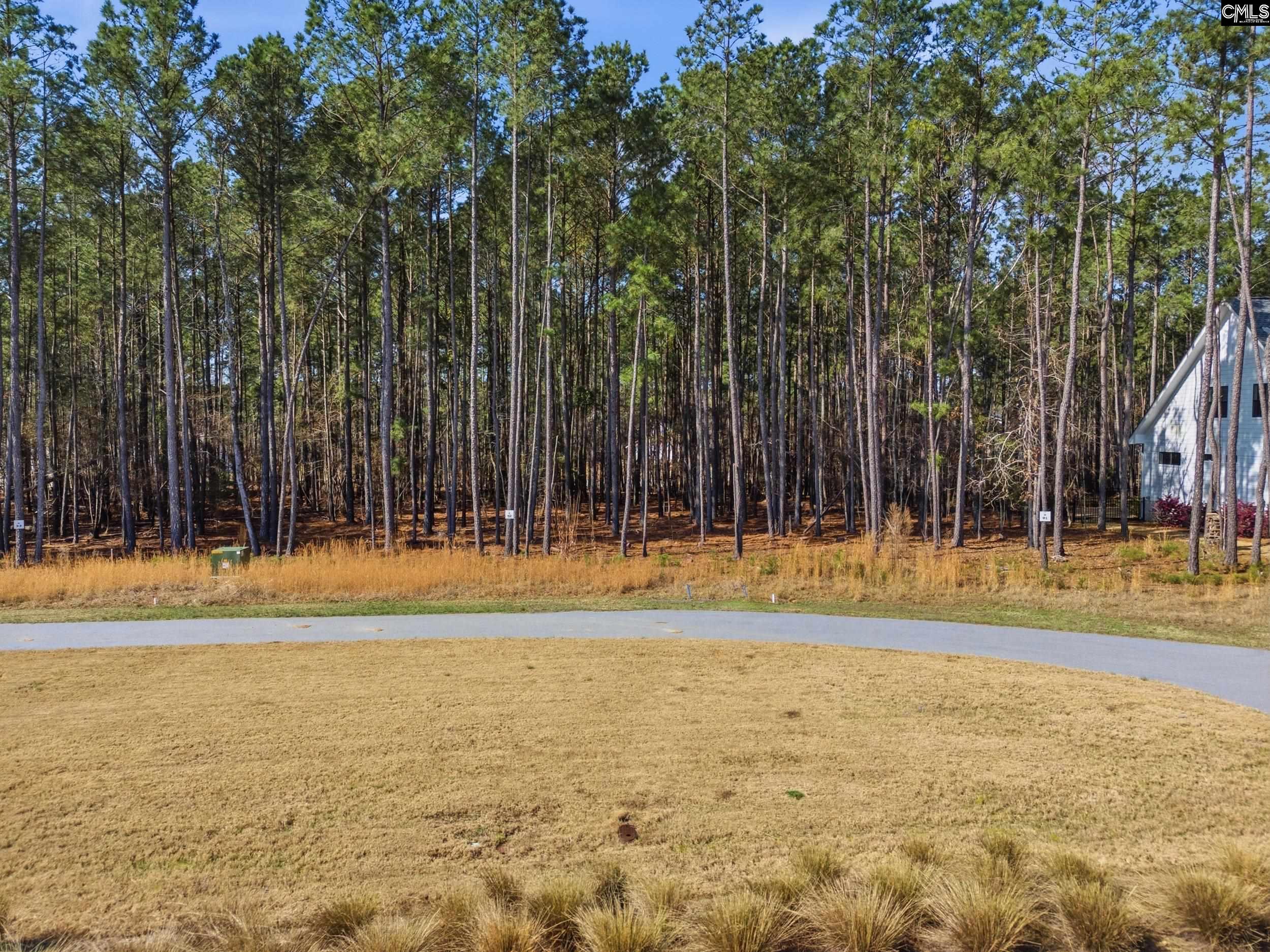 2 Timber Trail Lane UNIT #92 Prosperity, SC 29127
