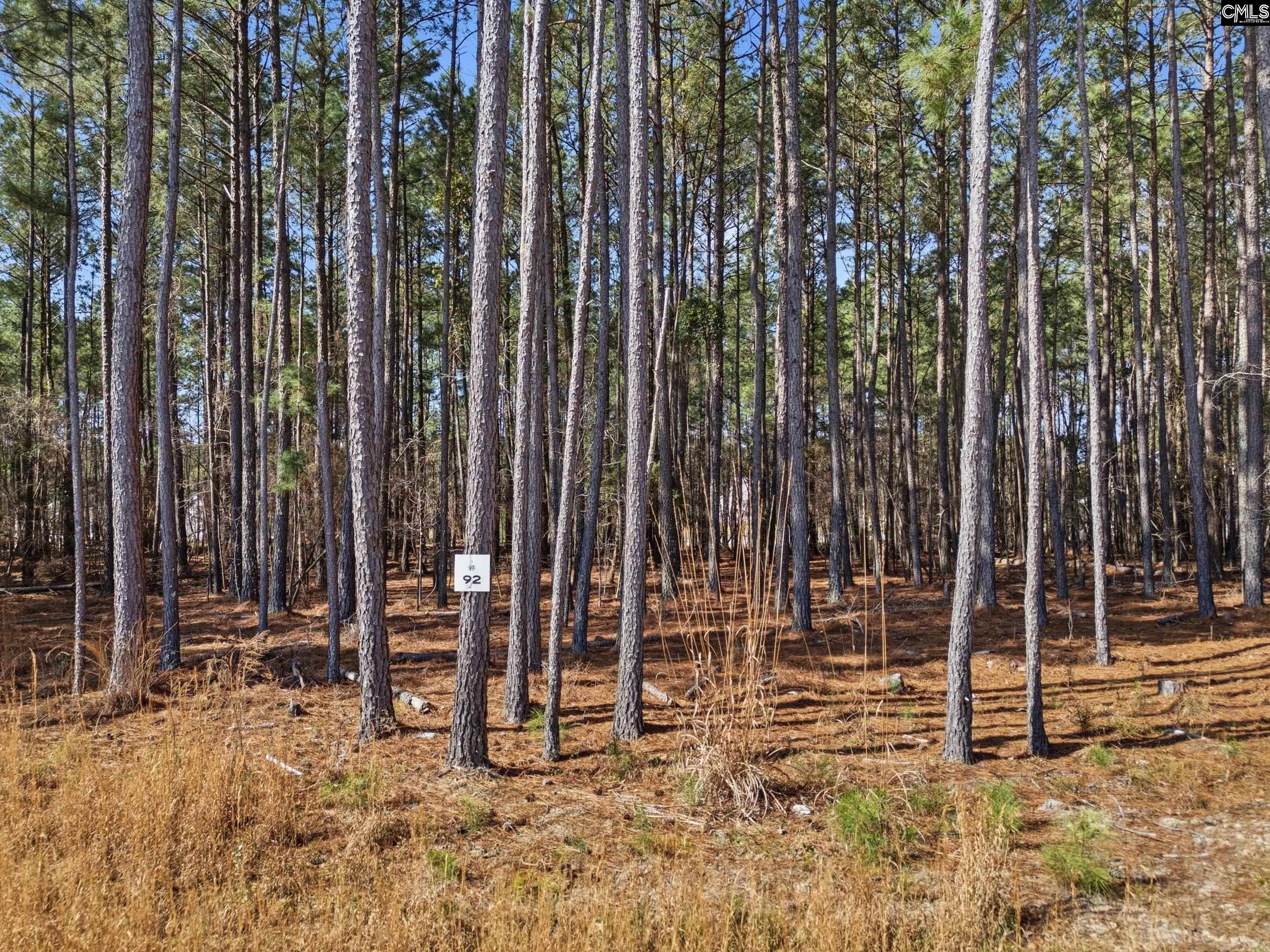 2 Timber Trail Lane UNIT #92 Prosperity, SC 29127