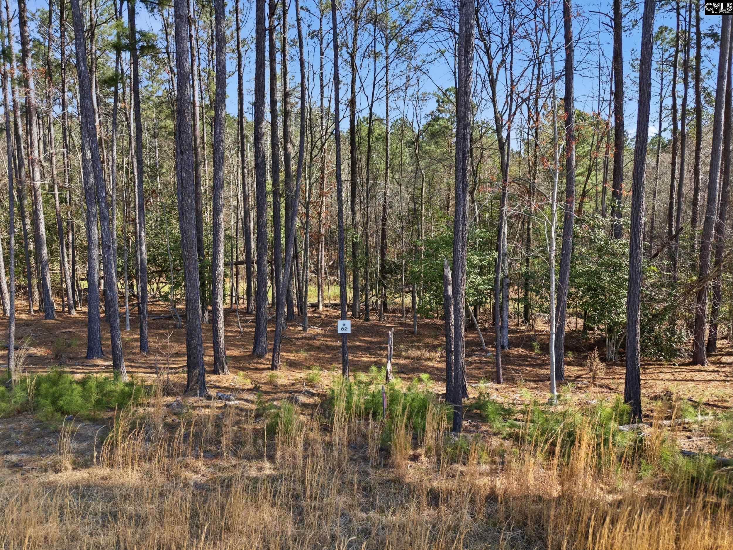 Timber Trail Lane UNIT #82 Prosperity, SC 29127