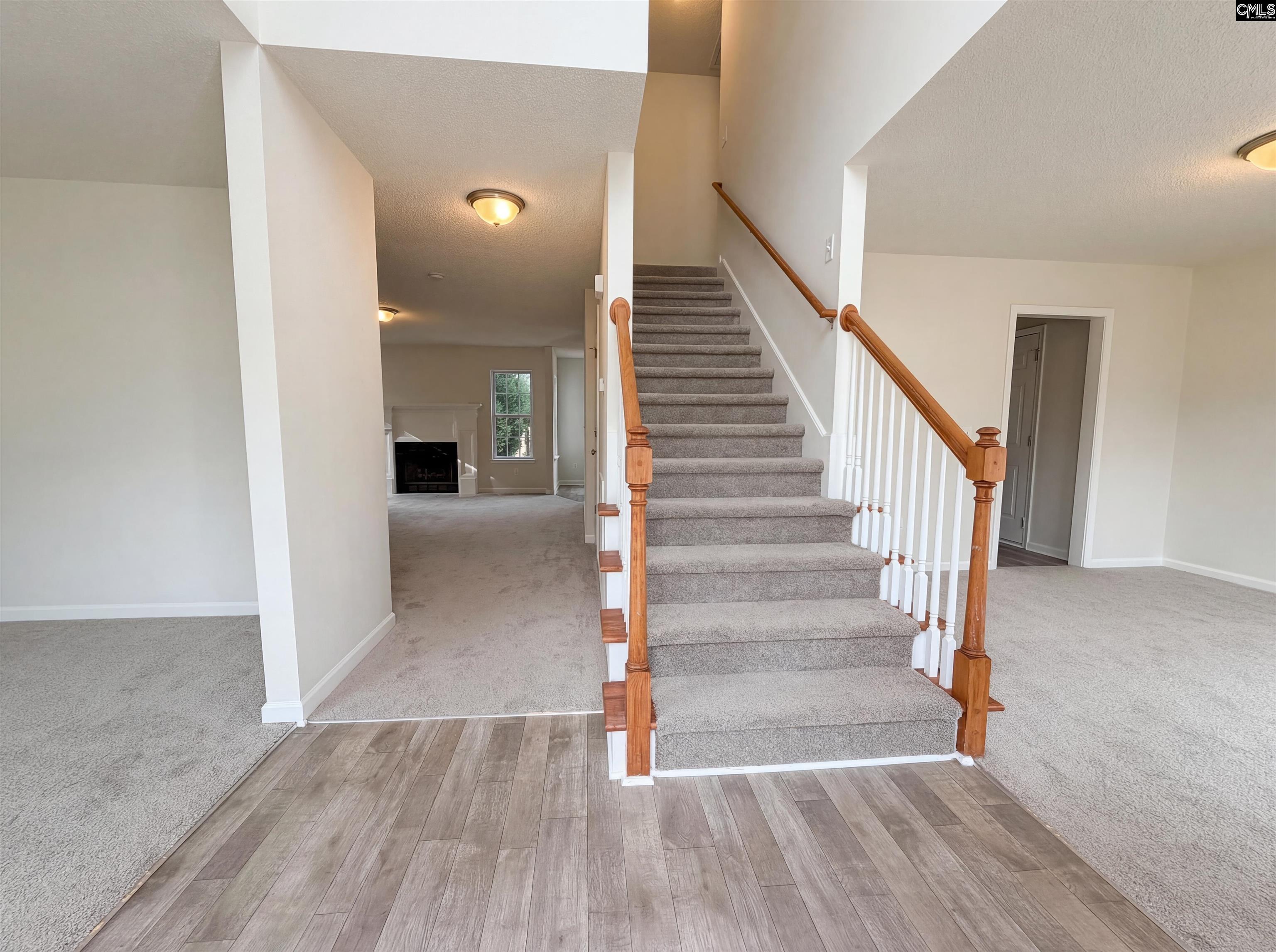 217 Branchview Drive Columbia, SC 29229