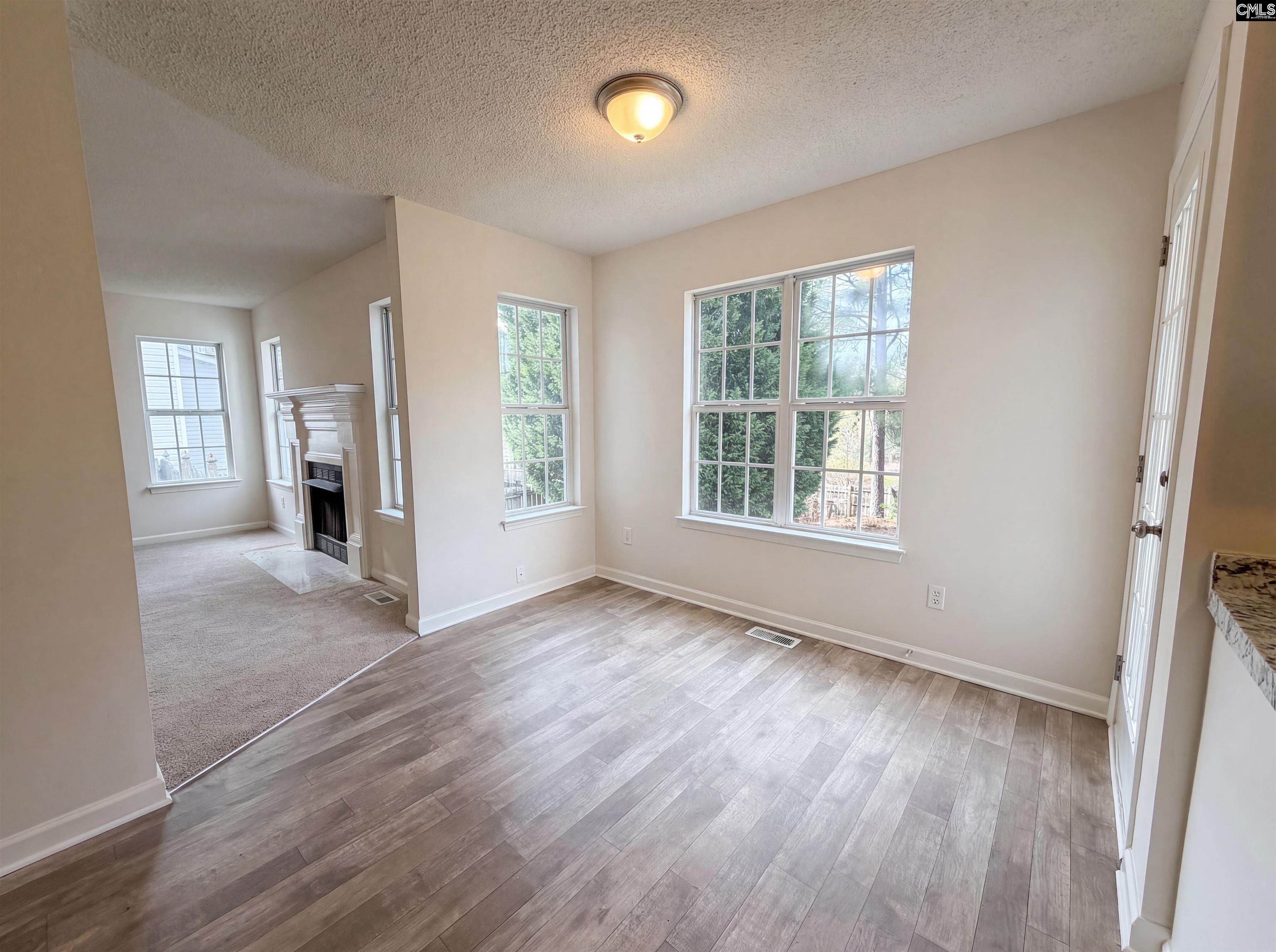 217 Branchview Drive Columbia, SC 29229