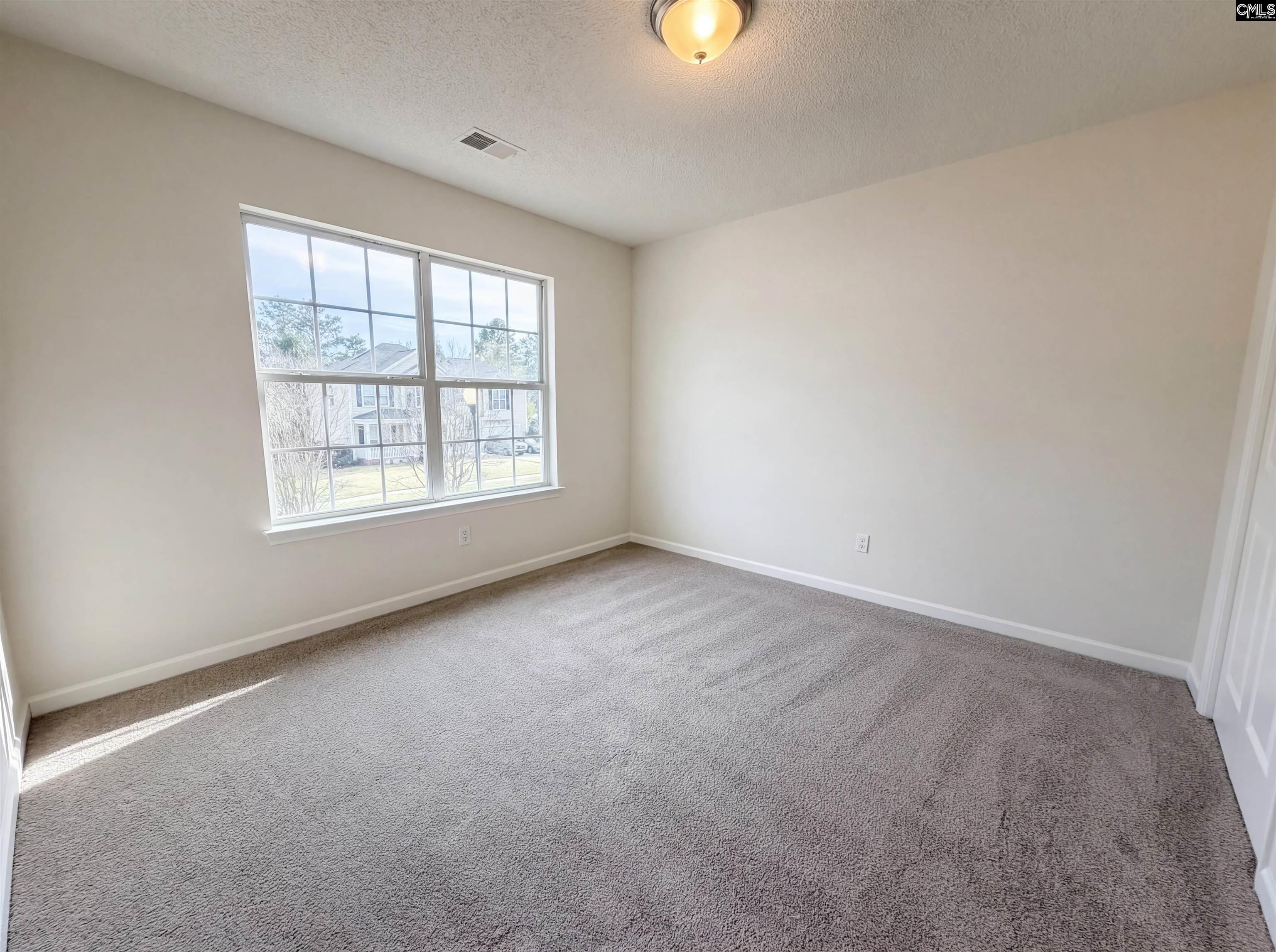217 Branchview Drive Columbia, SC 29229