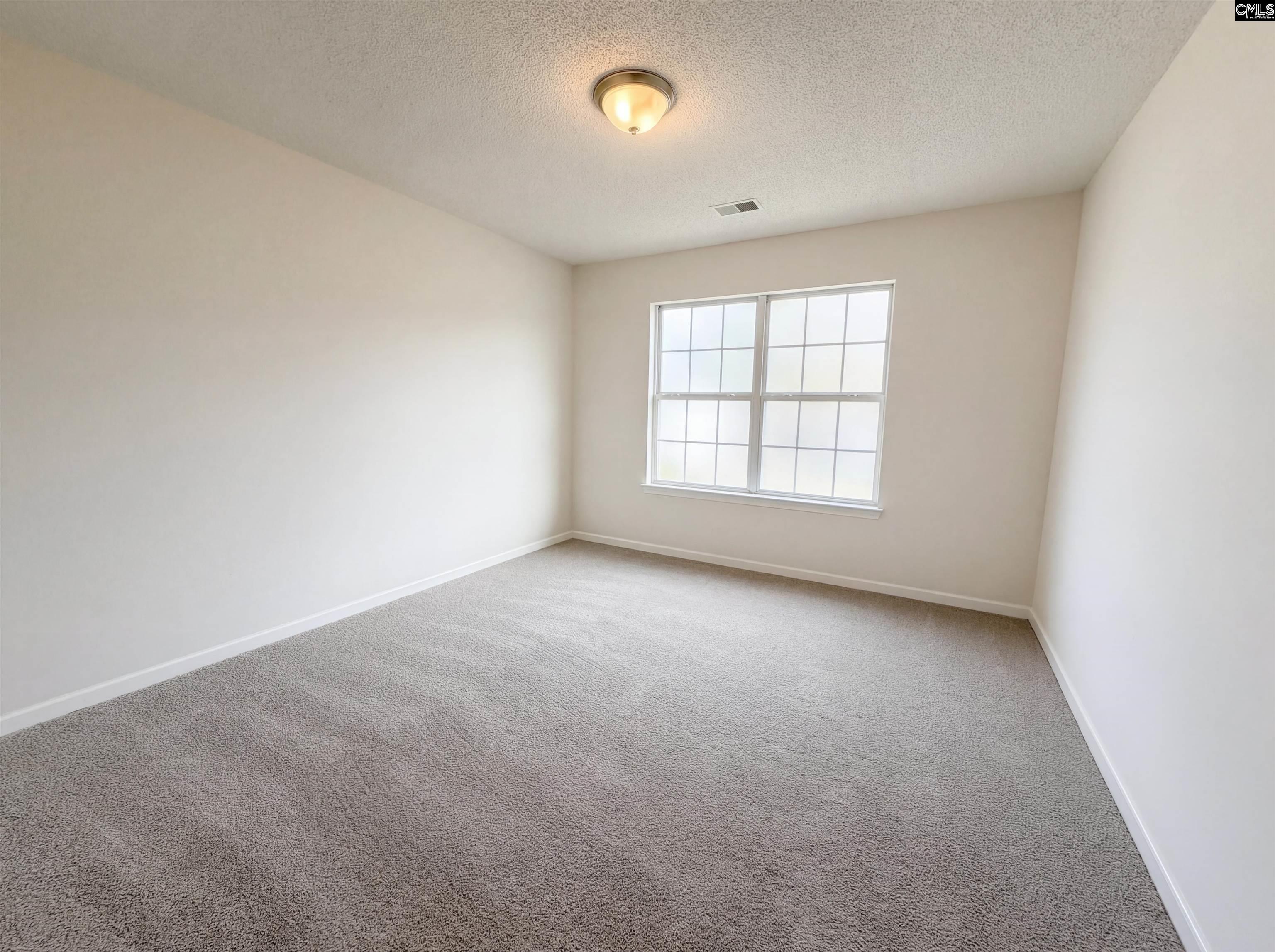 217 Branchview Drive Columbia, SC 29229