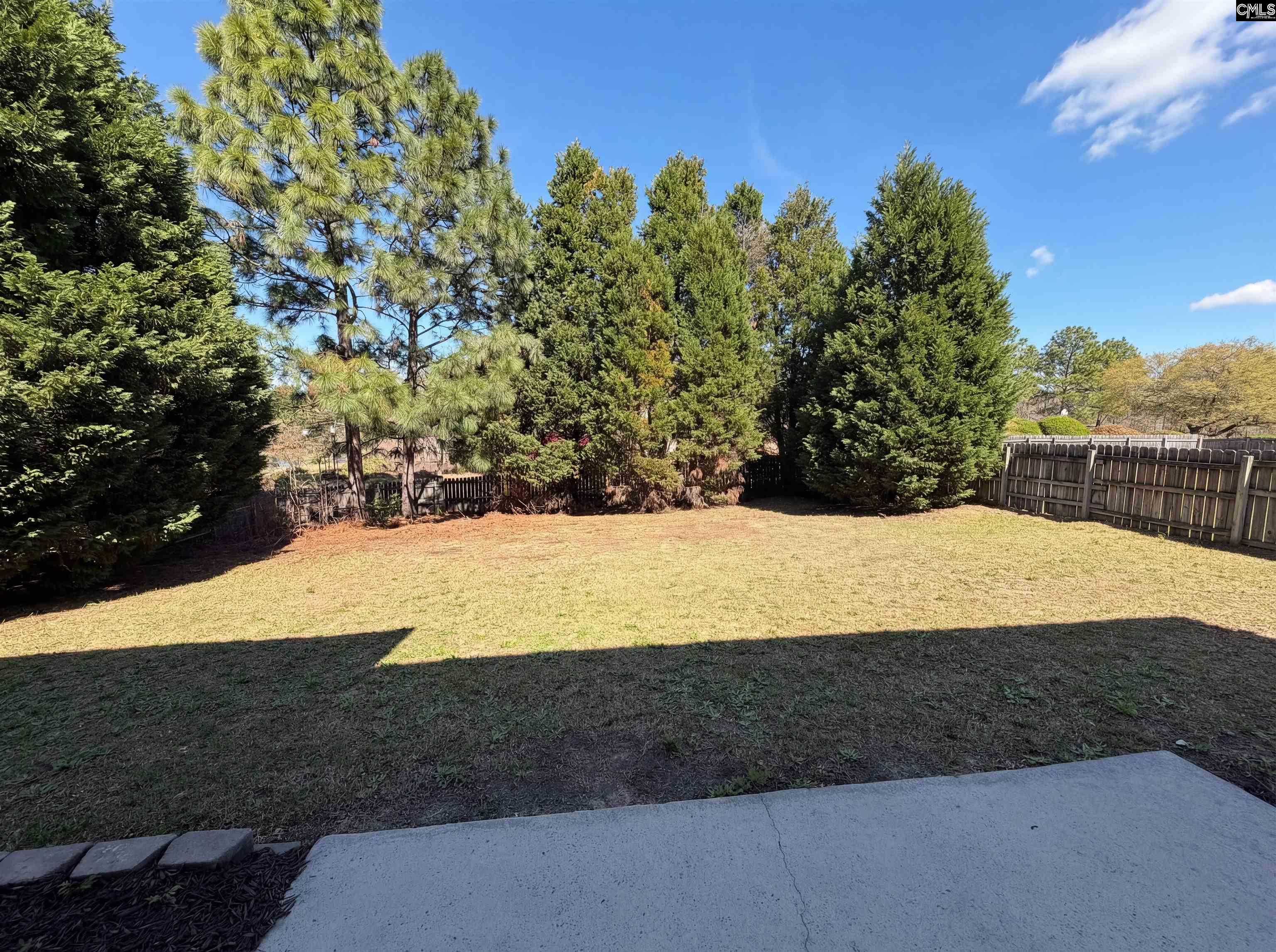 217 Branchview Drive Columbia, SC 29229