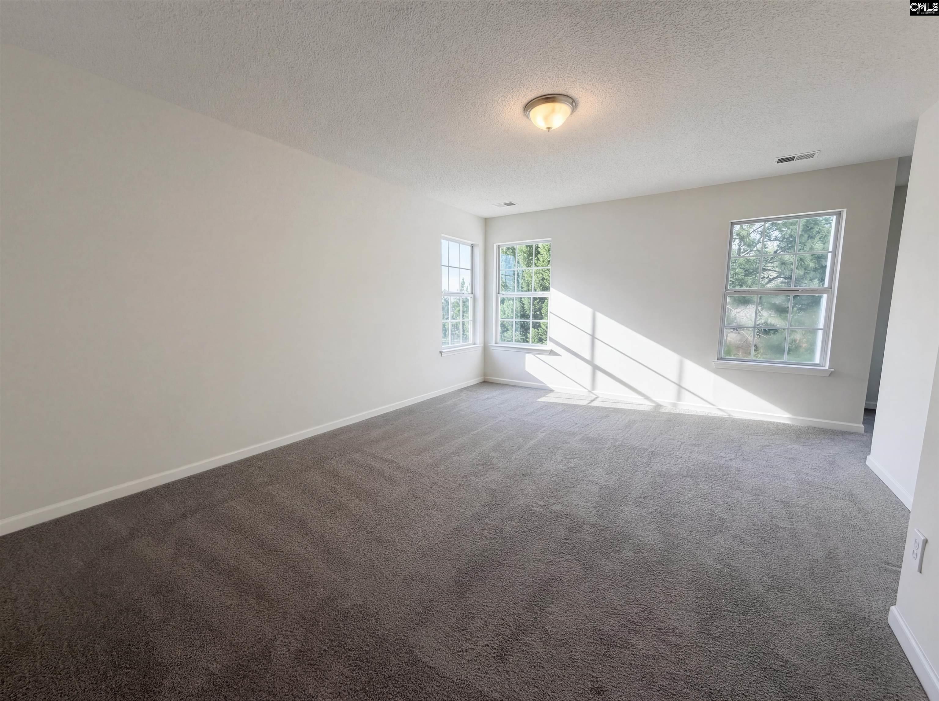 217 Branchview Drive Columbia, SC 29229