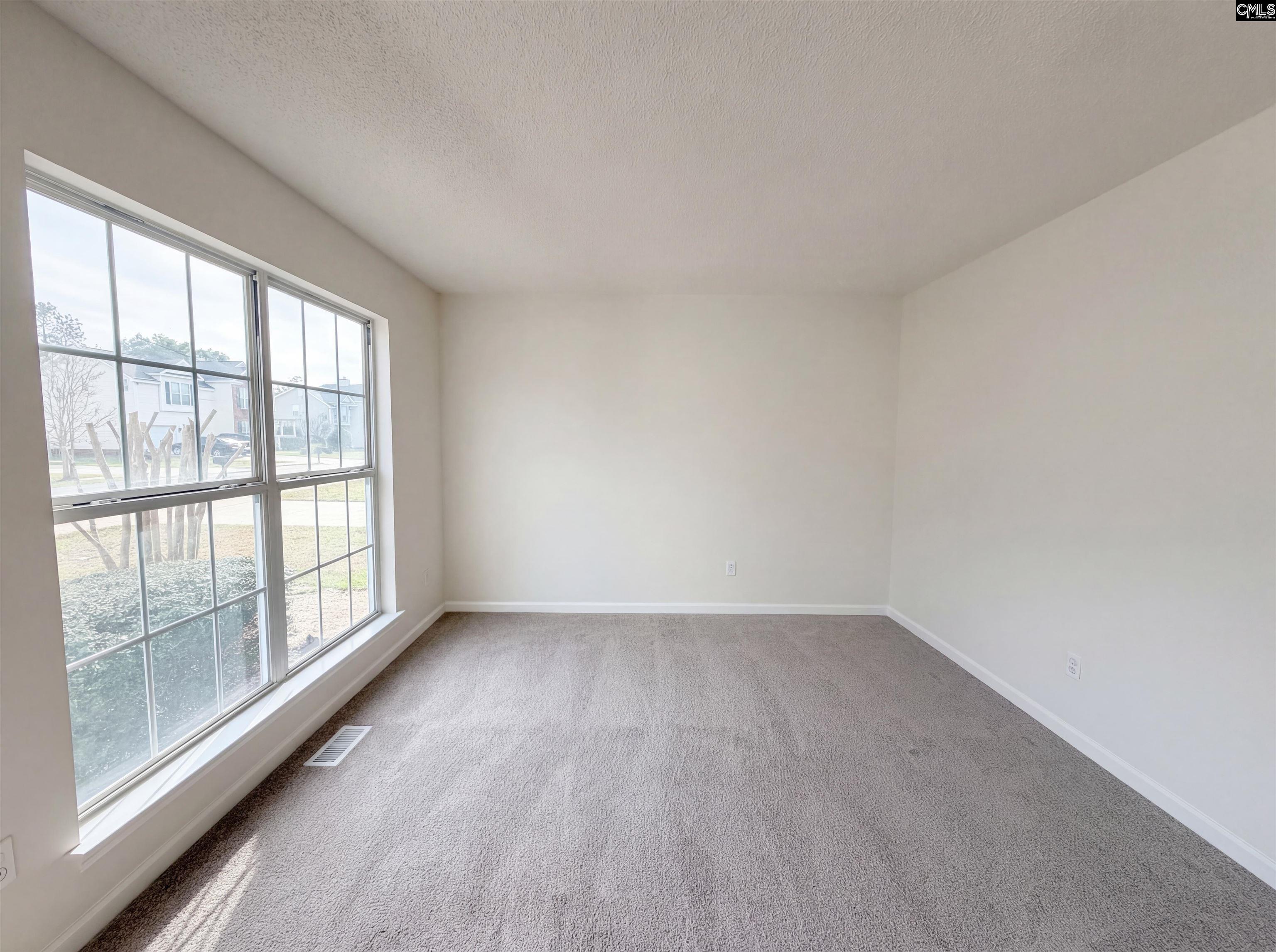 217 Branchview Drive Columbia, SC 29229