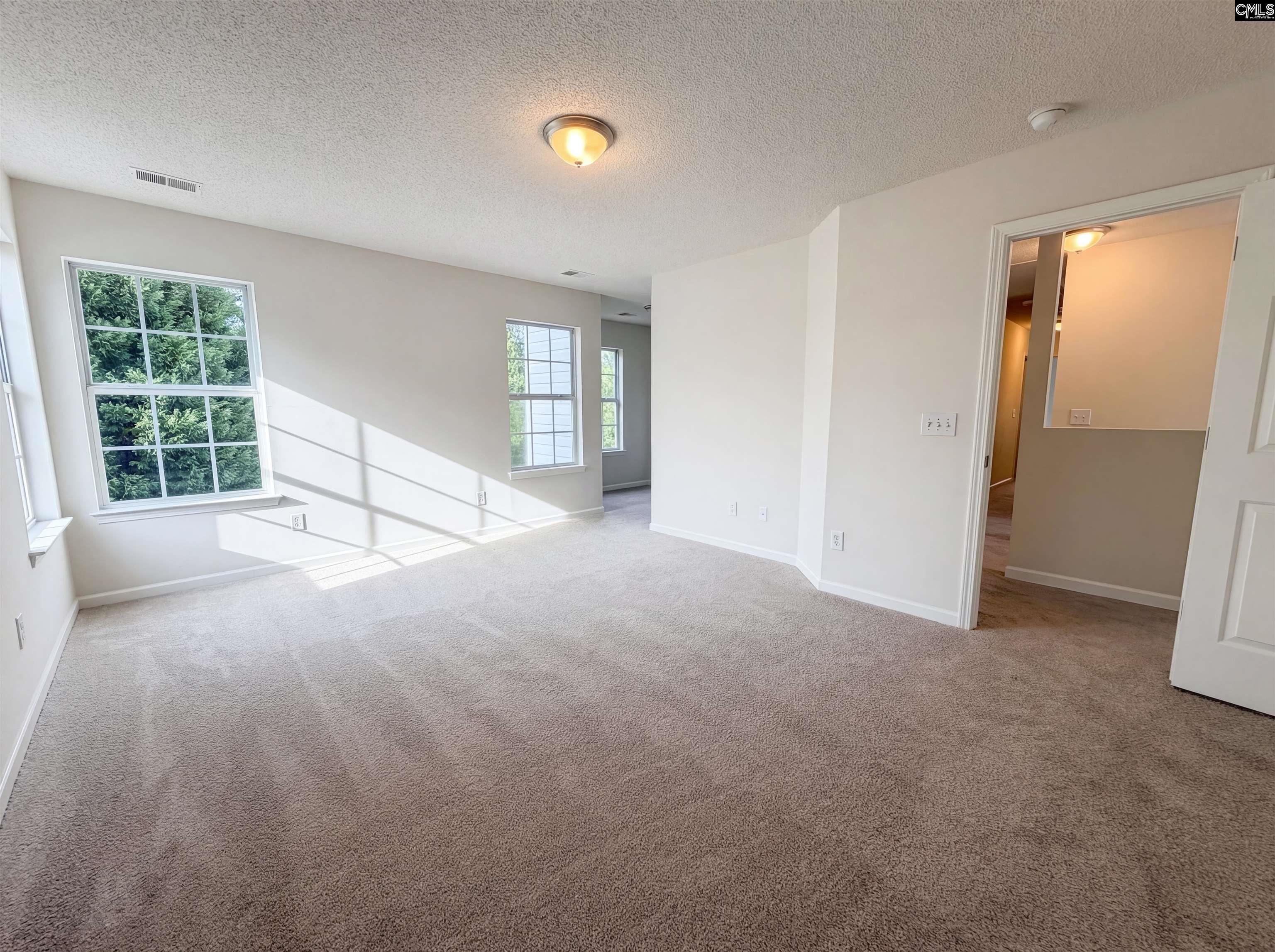 217 Branchview Drive Columbia, SC 29229