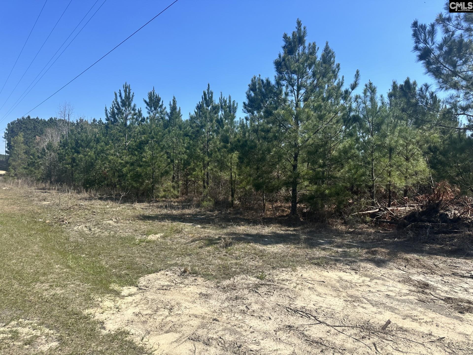 Catalina Boulevard Swansea, SC 29160