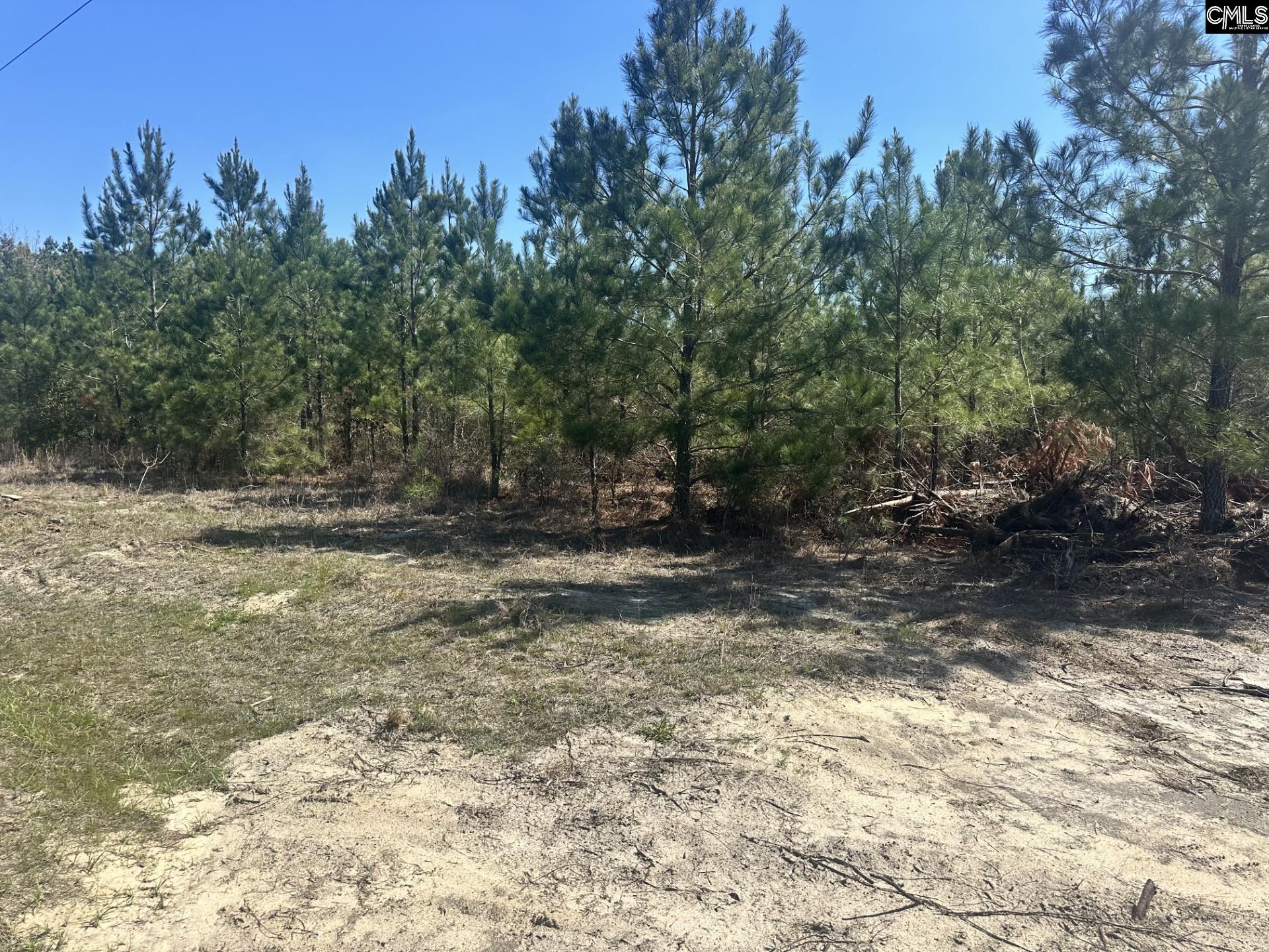 Catalina Boulevard Swansea, SC 29160