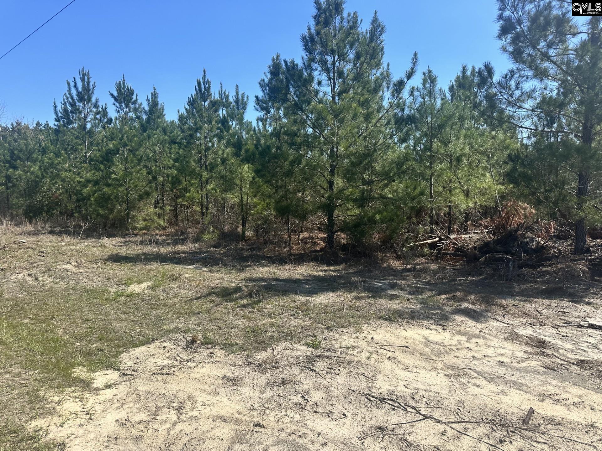 Catalina Boulevard Swansea, SC 29160
