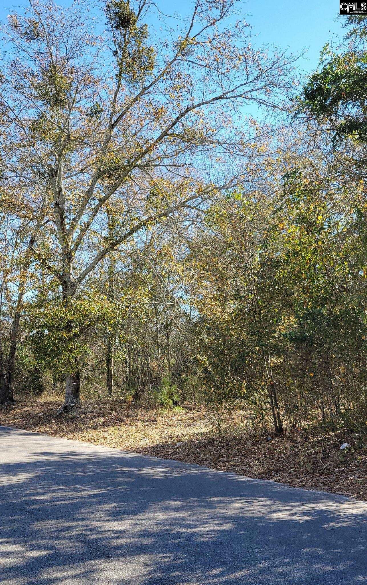 Barnwell Highway UNIT Lots 7 & 8 Denmark, SC 29042