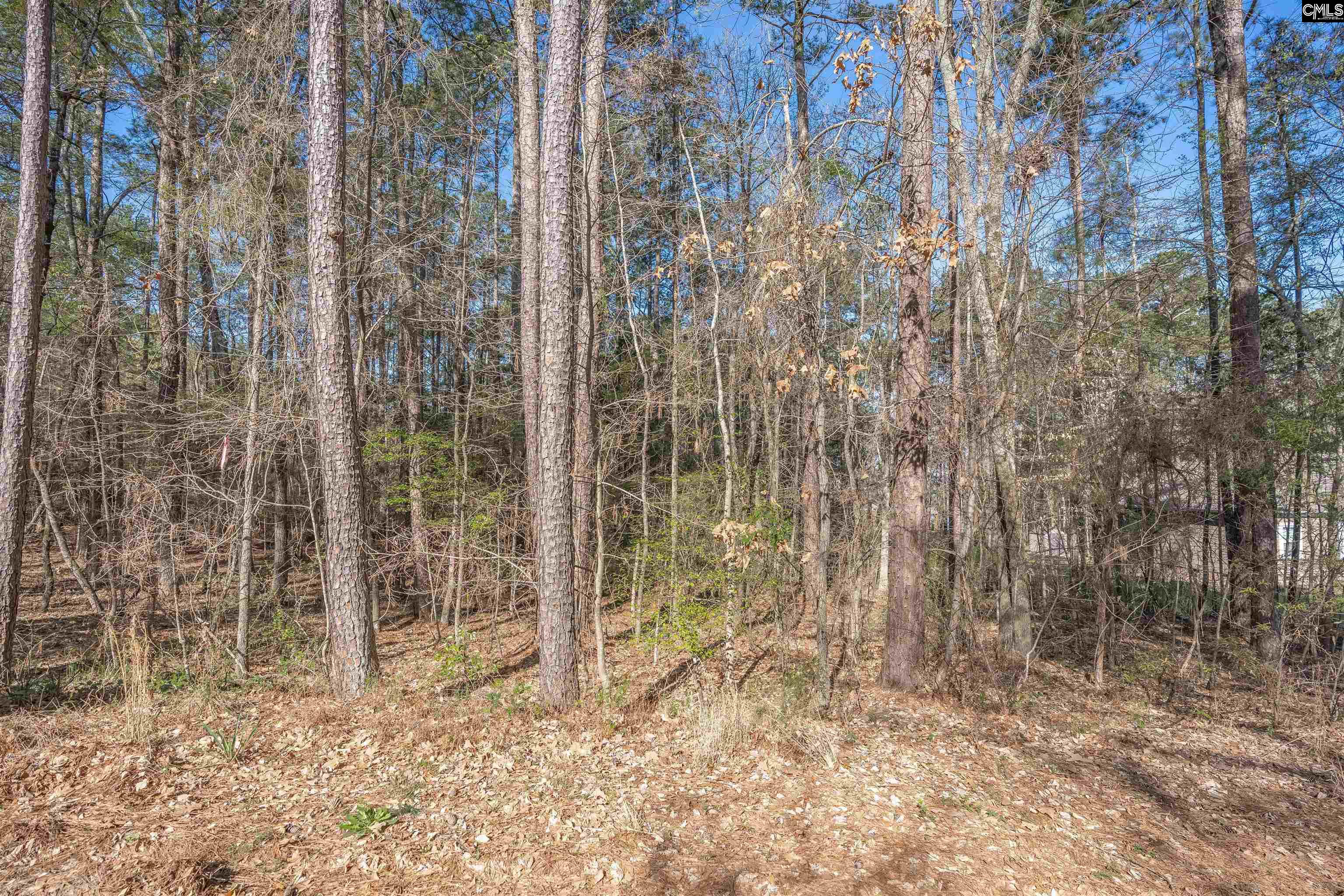 TBD Sc Highway 215 UNIT #5 Jenkinsville, SC 29065