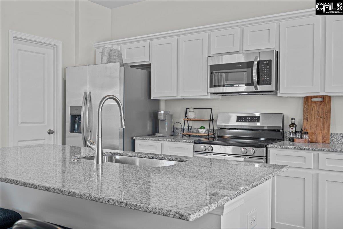 1036 Tundra Teal Lane Columbia, SC 29210