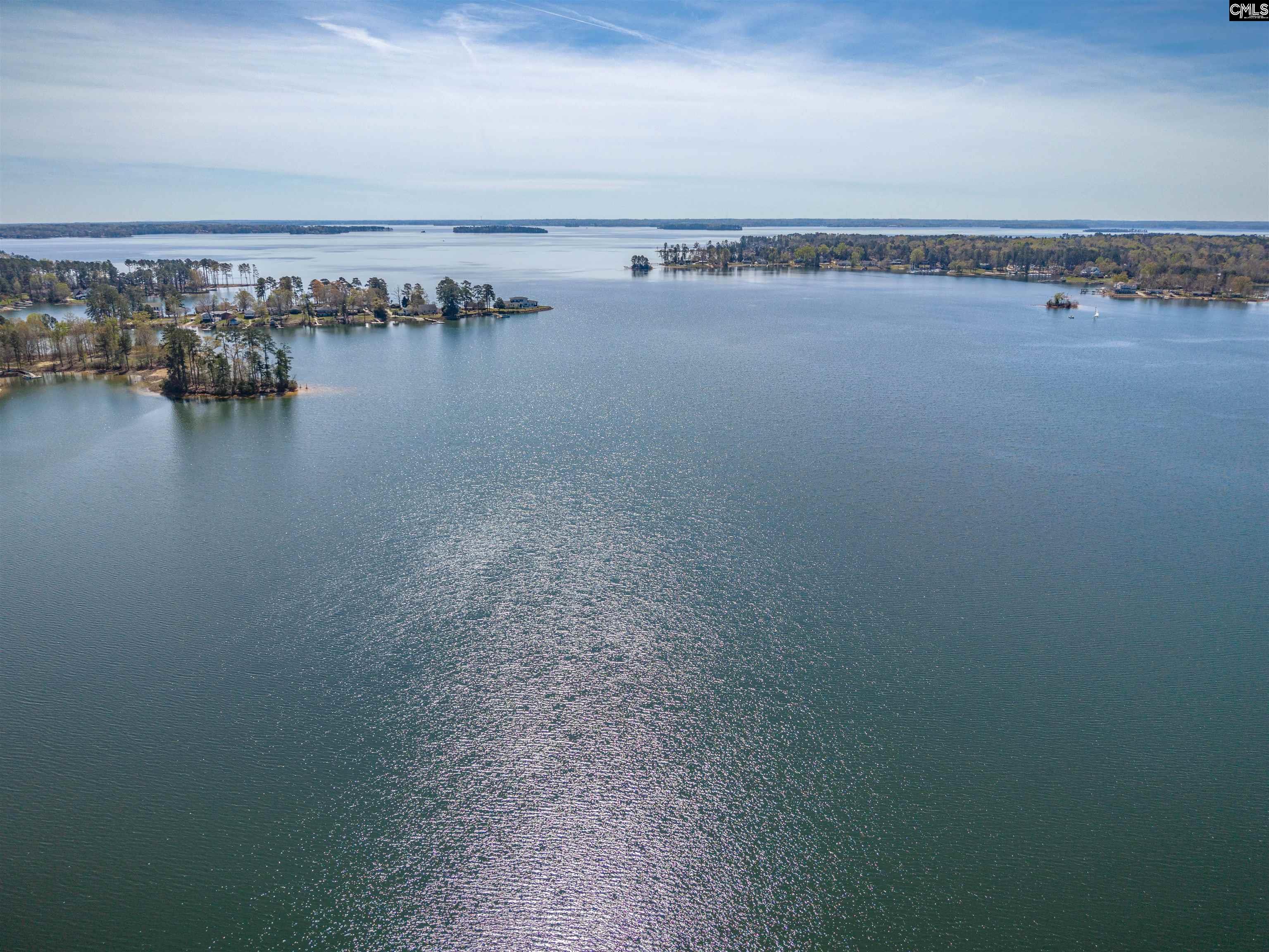 116 Currioman Drive Chapin, SC 29036
